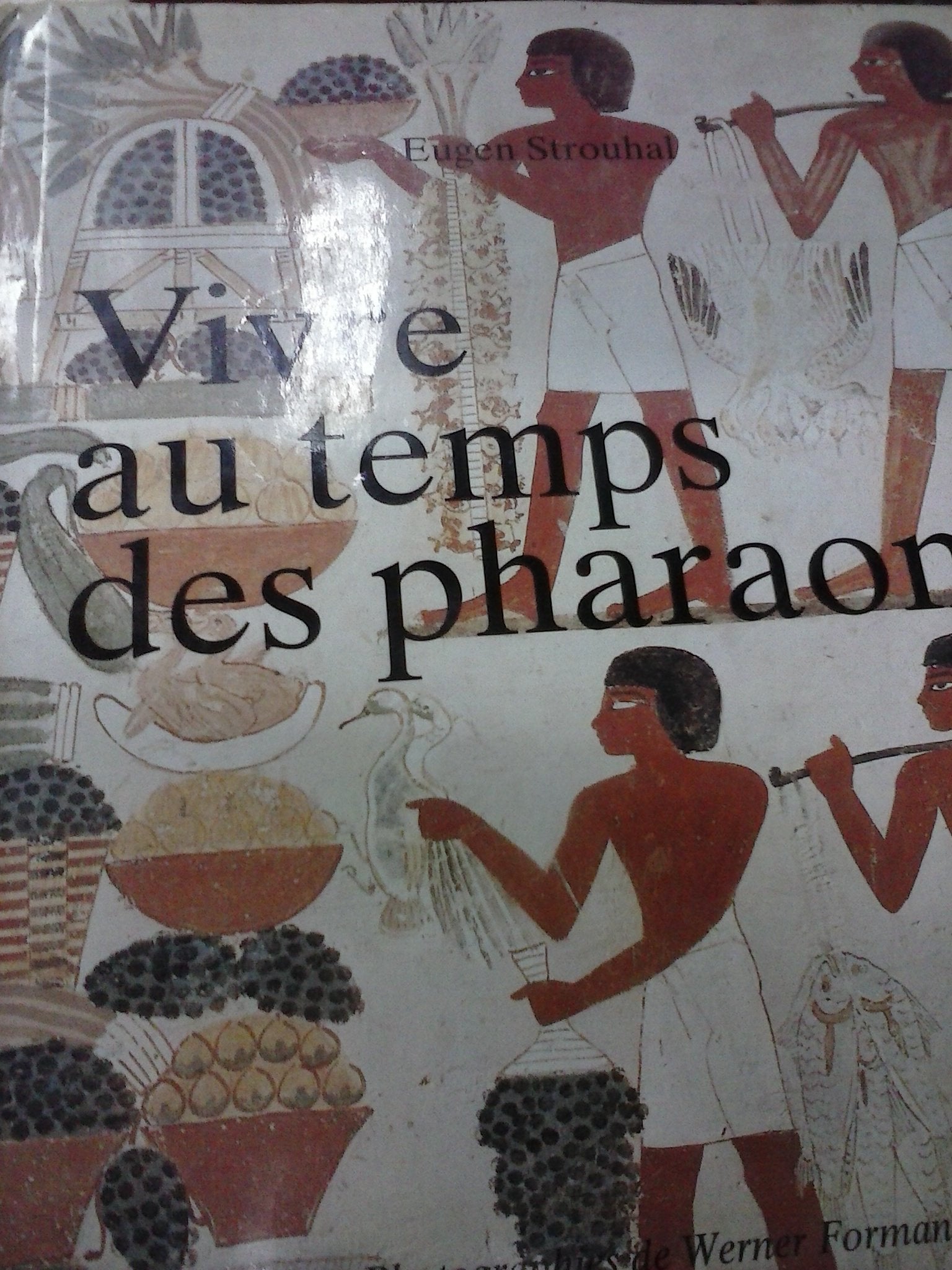 Vivre au temps des pharaons 083096 9782731213348