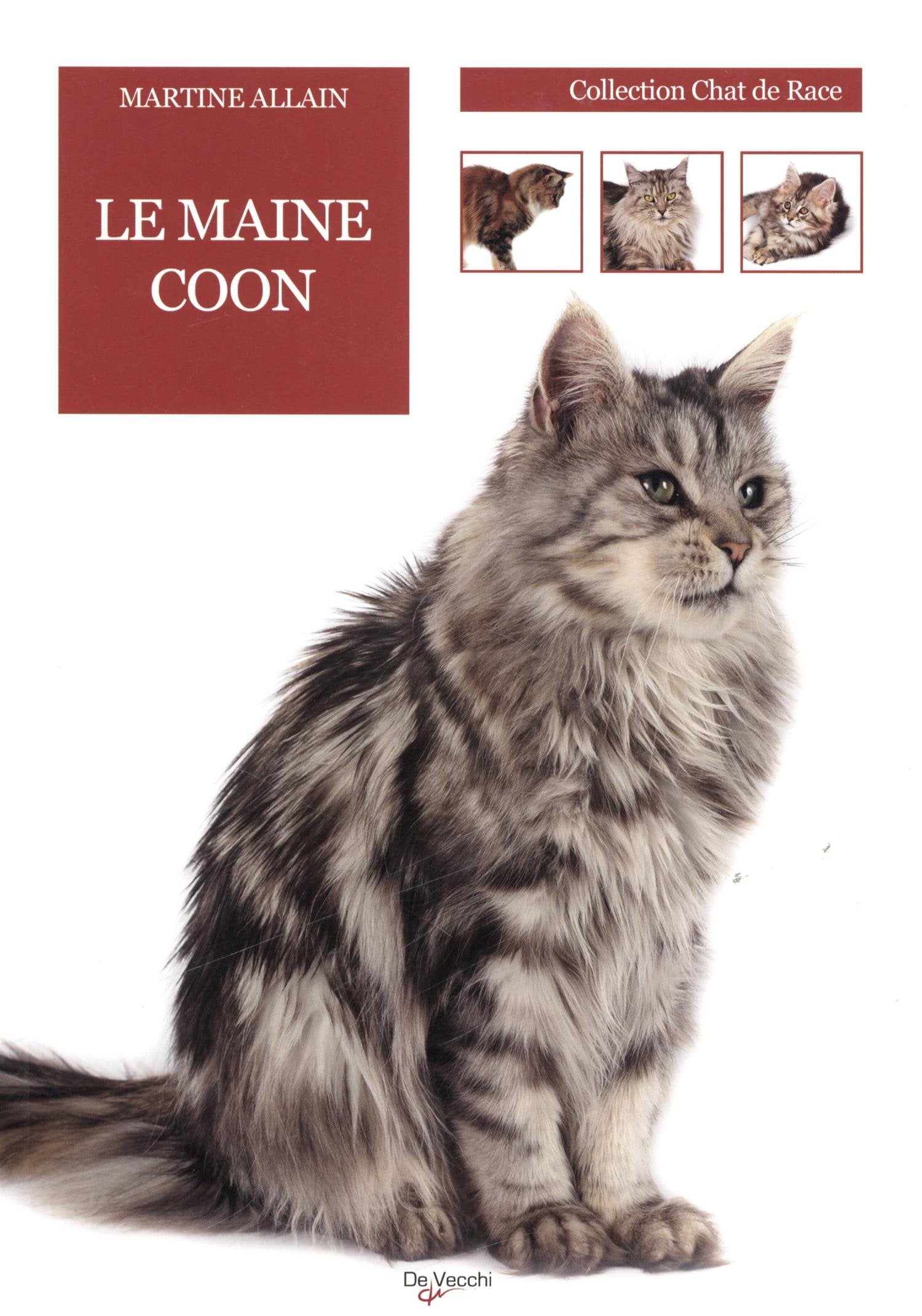 Le Maine Coon 9782732897219