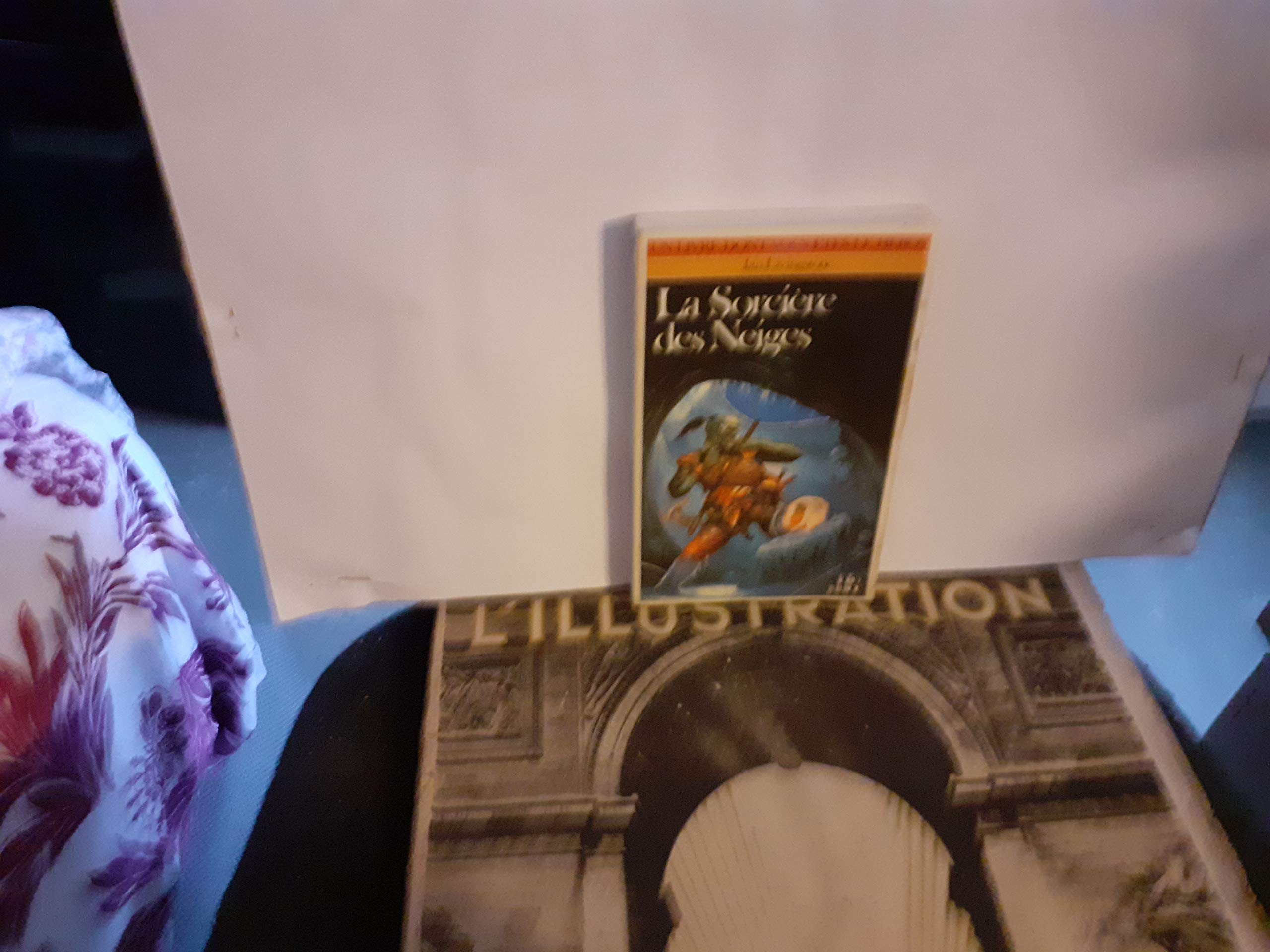 Defis Fantastiques Tome 9 : La Sorciere Des Neiges 9782070332878