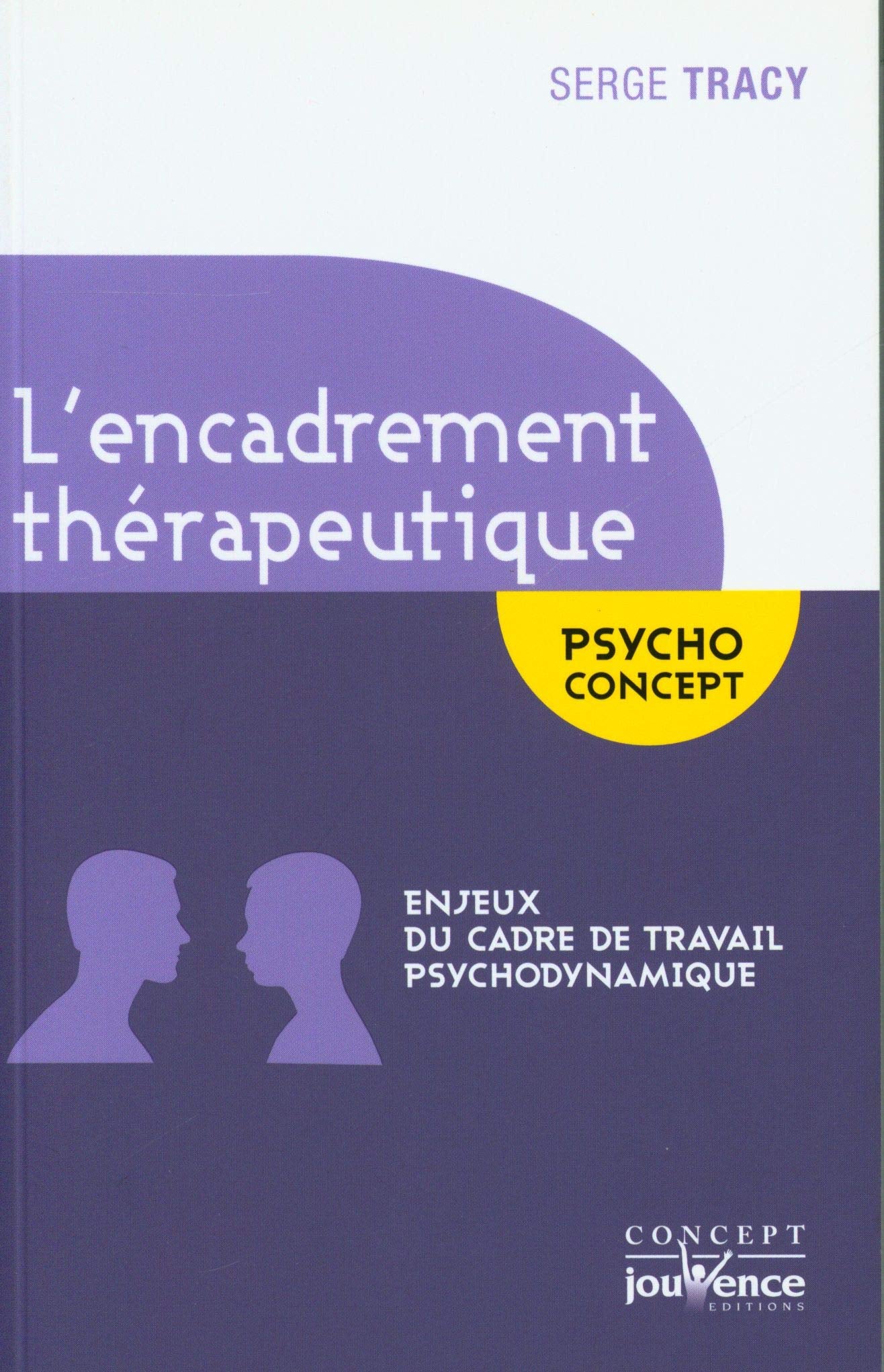 L'encadrement thérapeutique: Enjeux du cadre de travail psycho dynamique 9782889530731