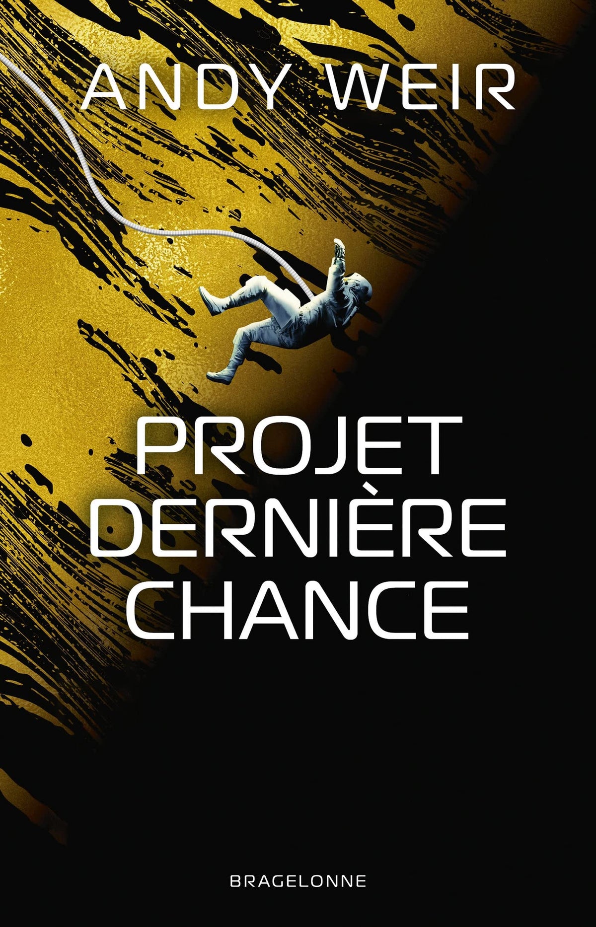 Projet Dernière Chance 9791028119676