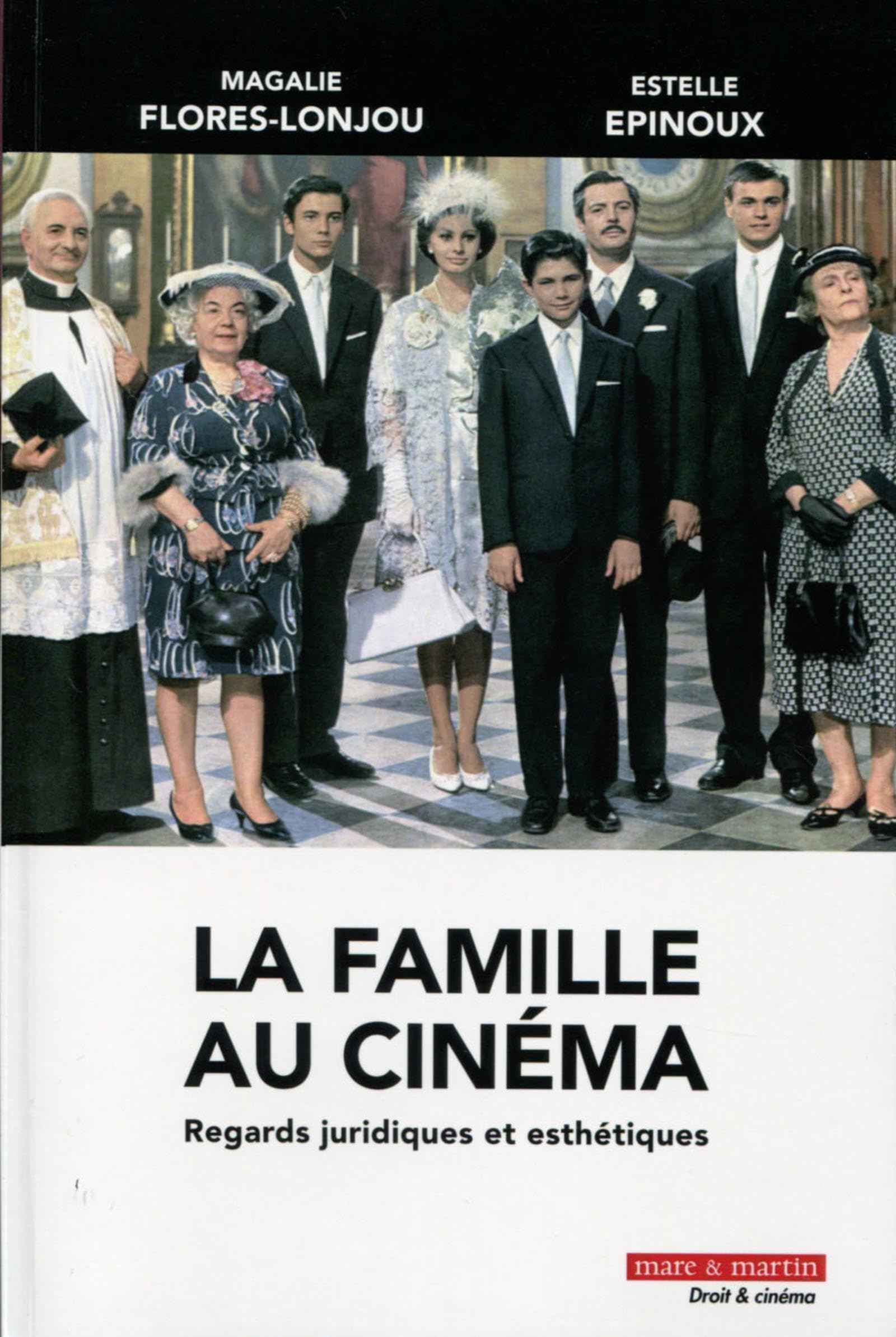 La famille au cinéma: Regards juridiques et esthétiques. 9782849342299