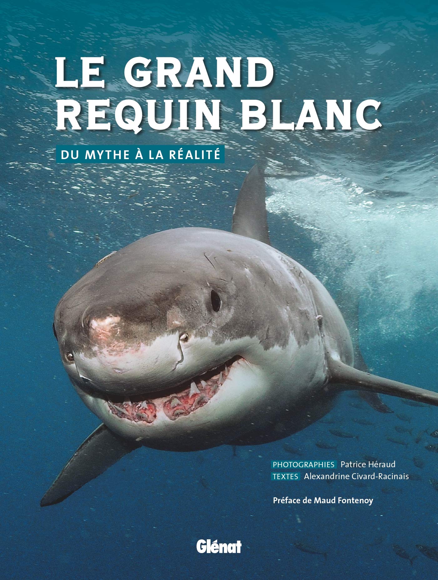 Le grand requin blanc: Du mythe à la réalité 9782723484756