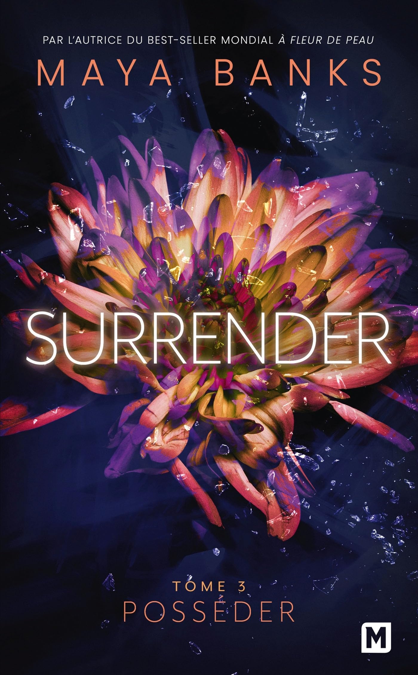 Surrender, T3 : Posséder 9782811225056