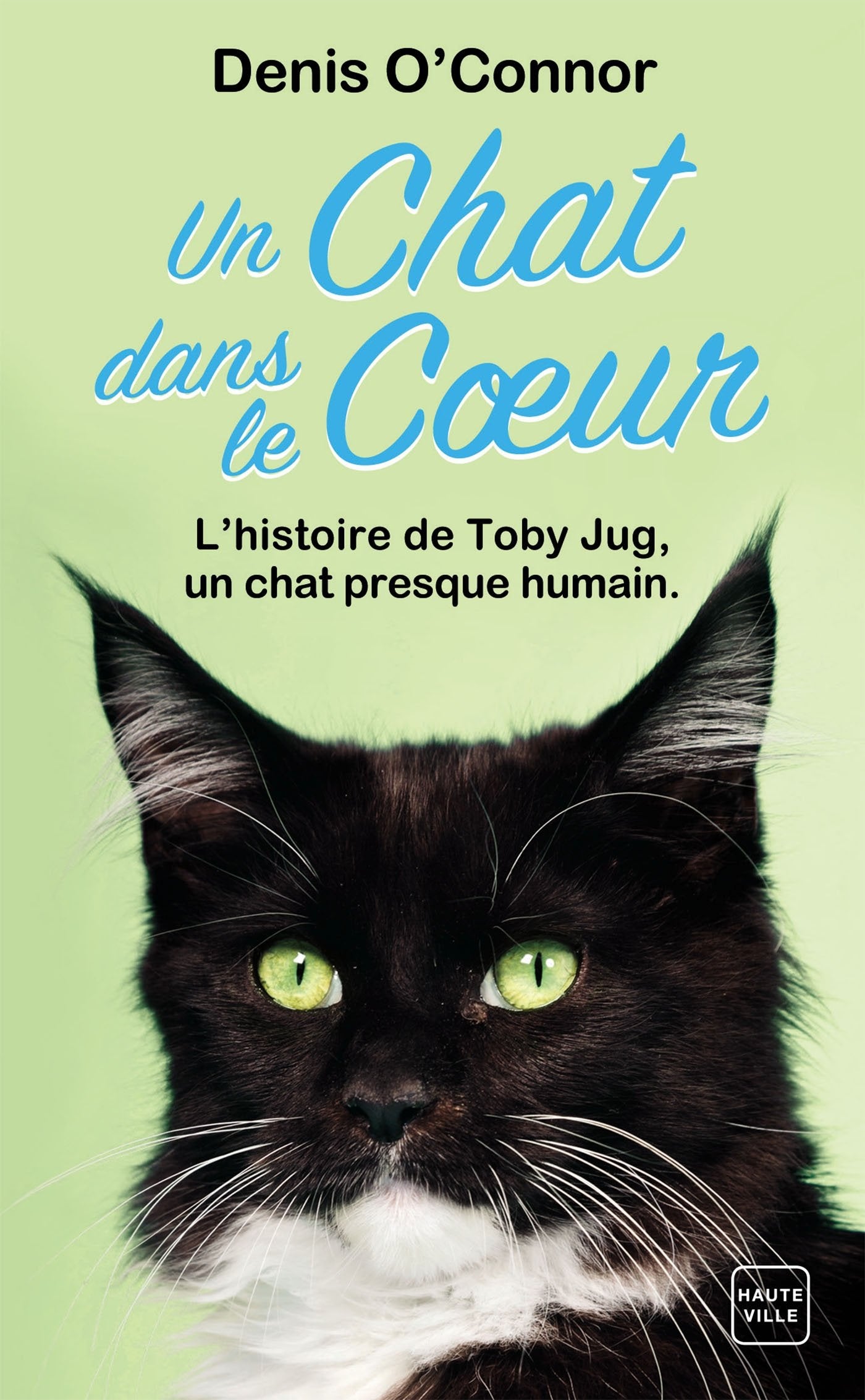 Un chat dans le coeur 9782811232849