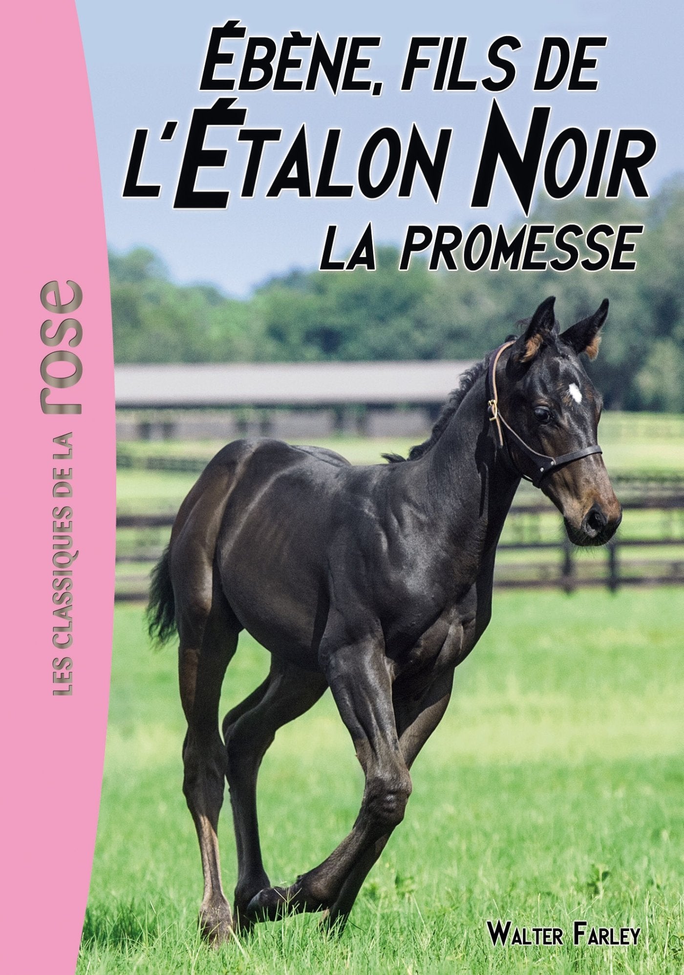 L'Étalon Noir 21 - Ébène, le fils de l'Étalon Noir 9782016265727