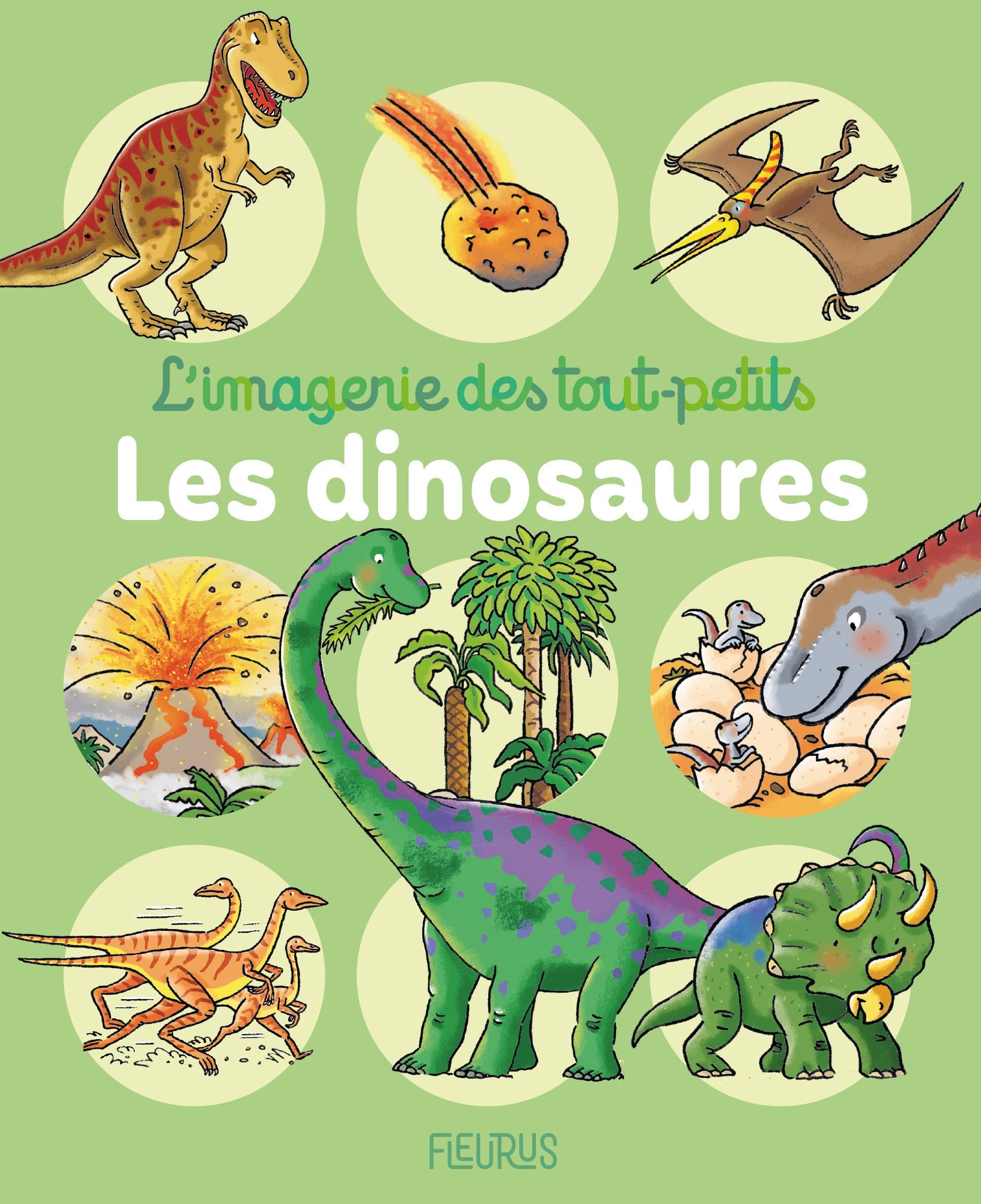 Les dinosaures 9782215166511