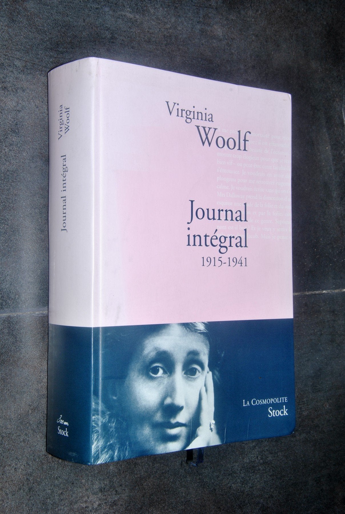 Journal intégral 1915-1941 9782234060302