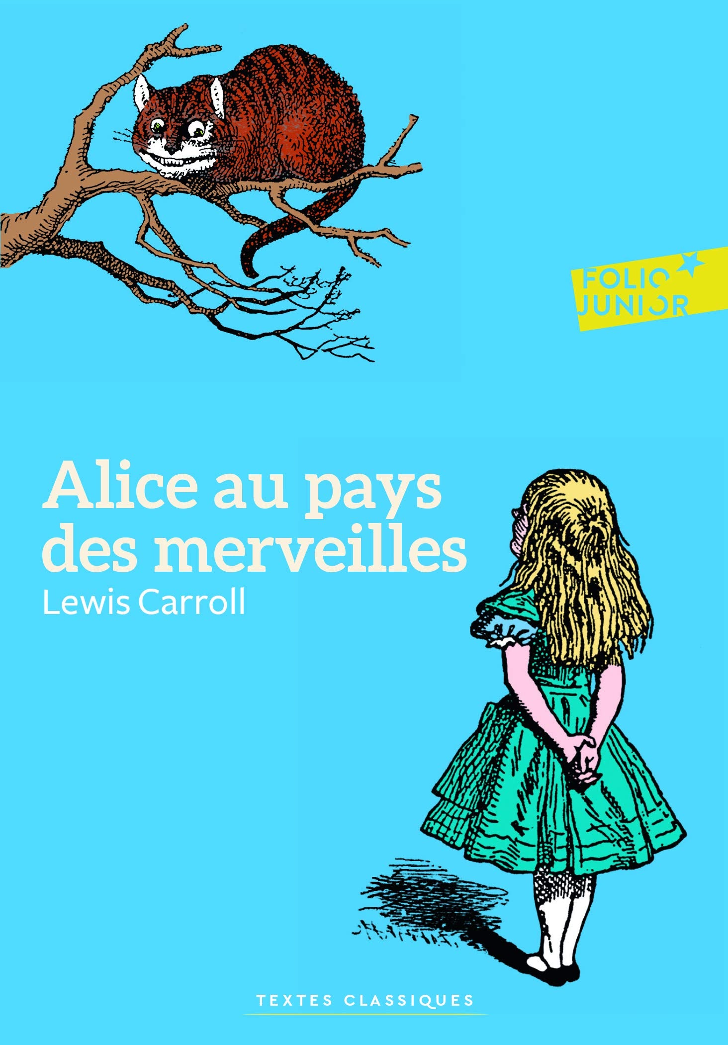 ALICE AU PAYS DES MERVEILLES 9782070642038