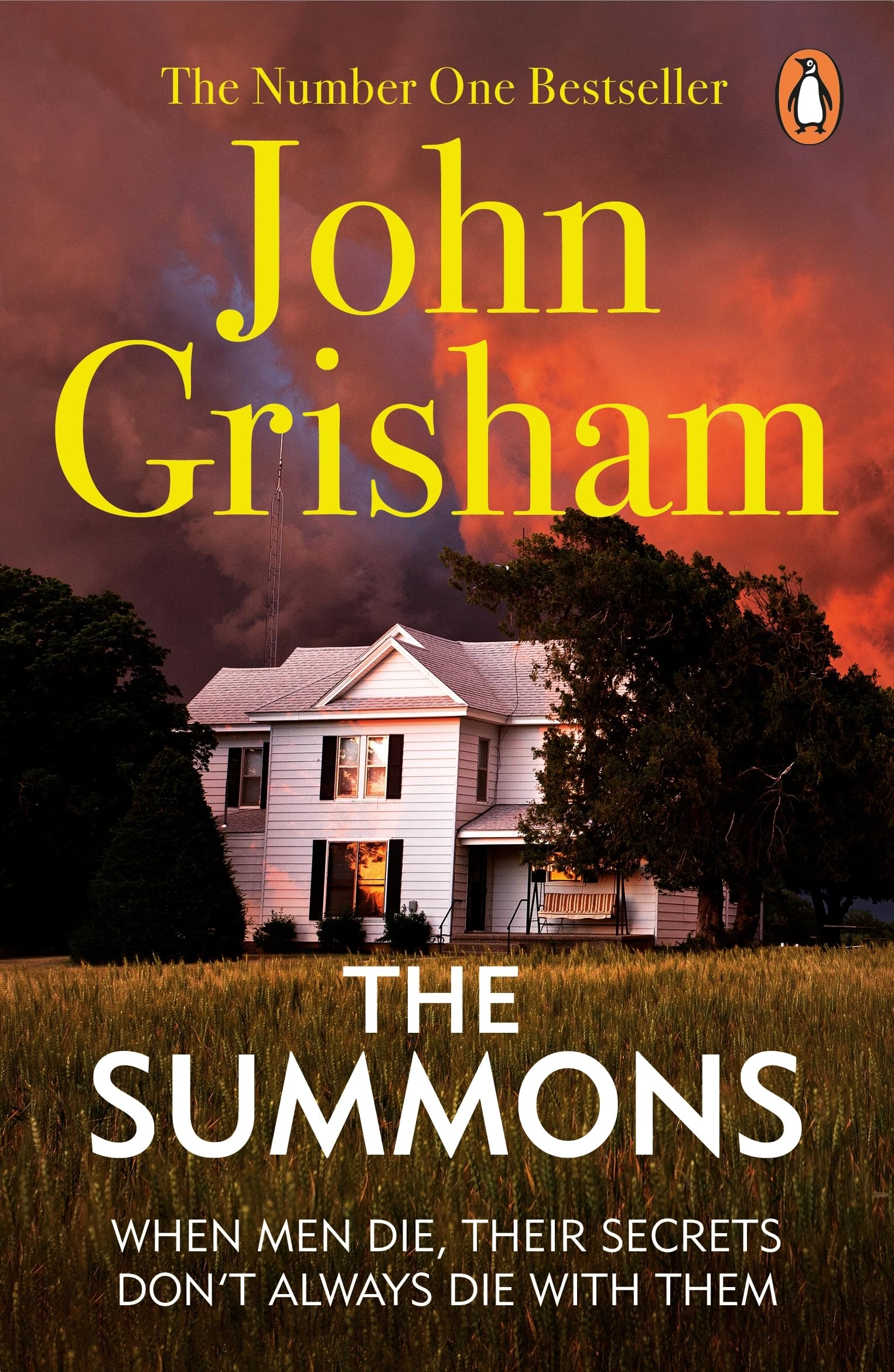 The Summons: A gripping crime thriller from the Sunday Times bestselling author of mystery and suspense 9780099538332