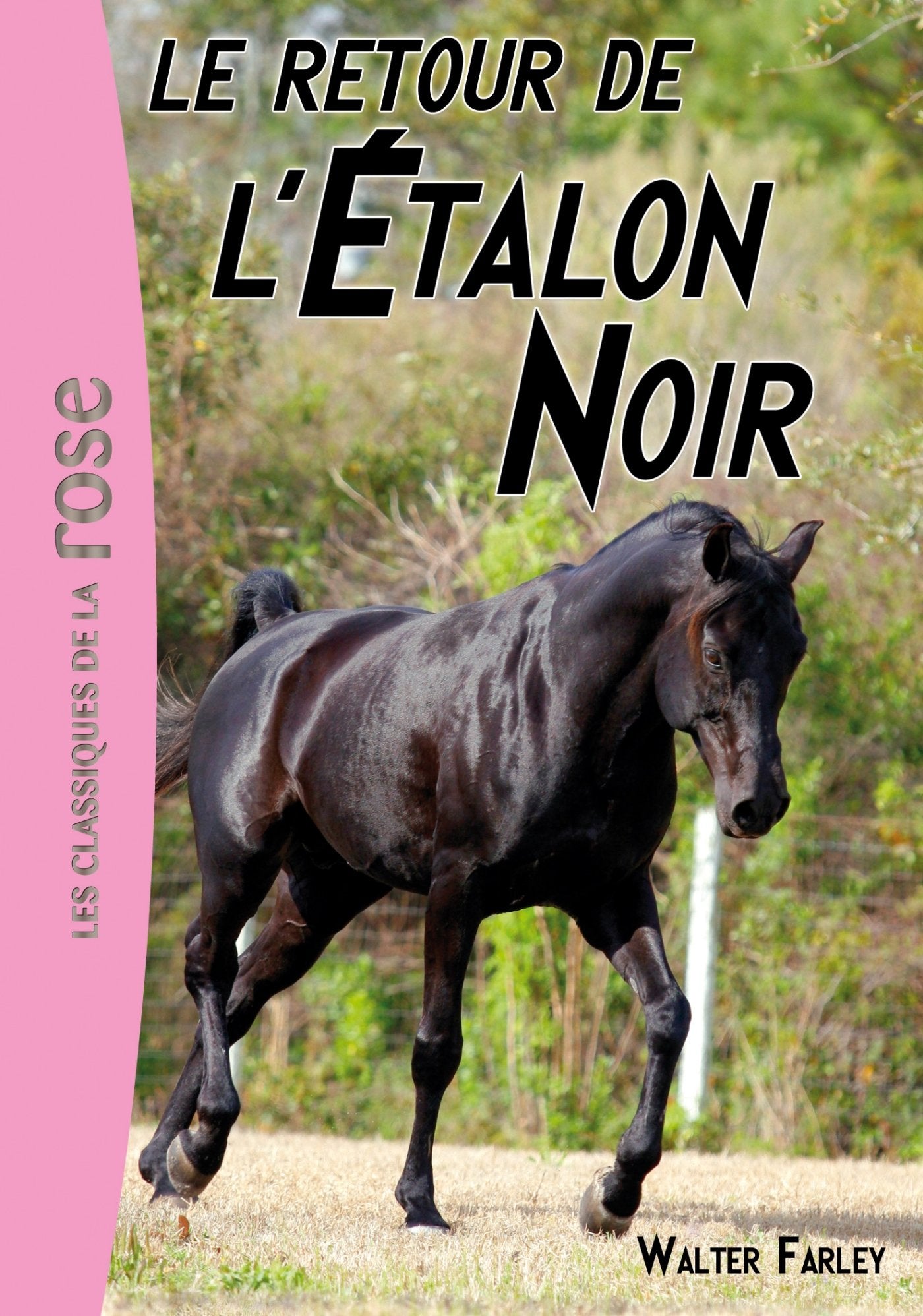 L'Étalon Noir 02 - Le retour de l'Étalon Noir 9782012021075