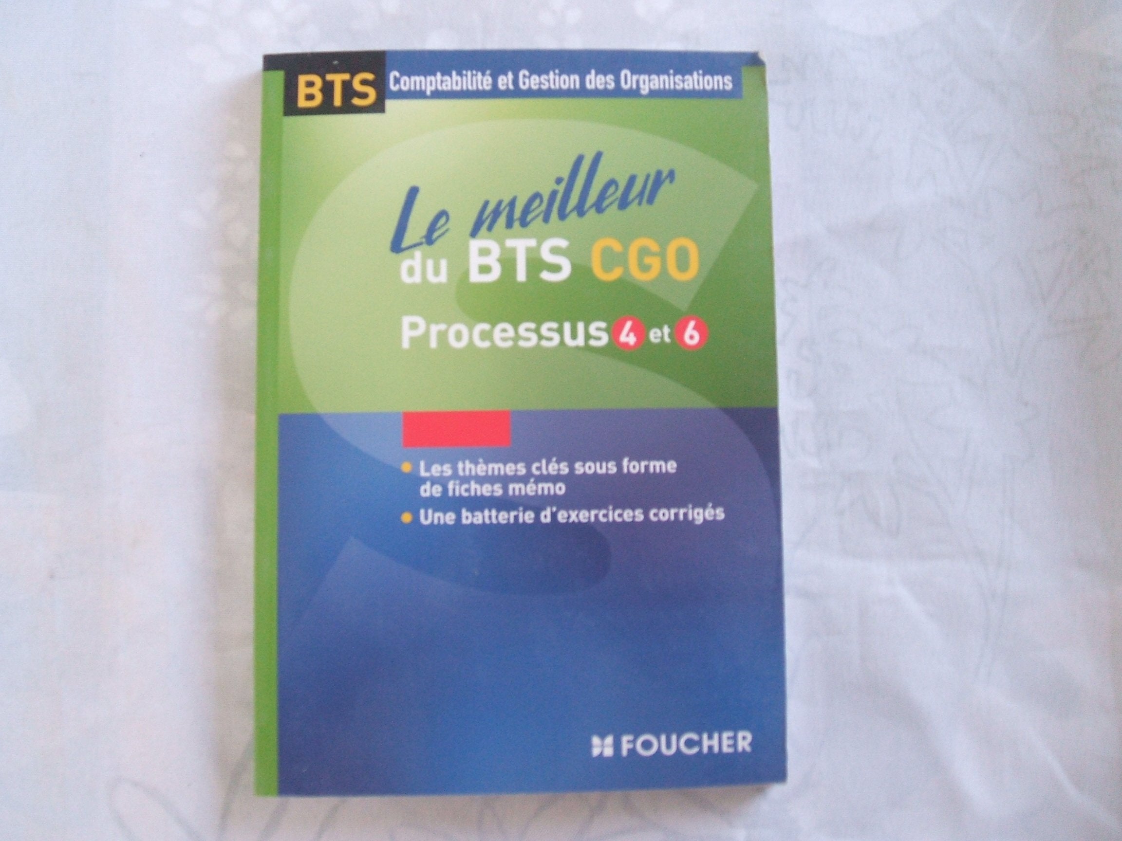 Le meilleur du BTS CGO: Processus 4 et 6 9782216109852