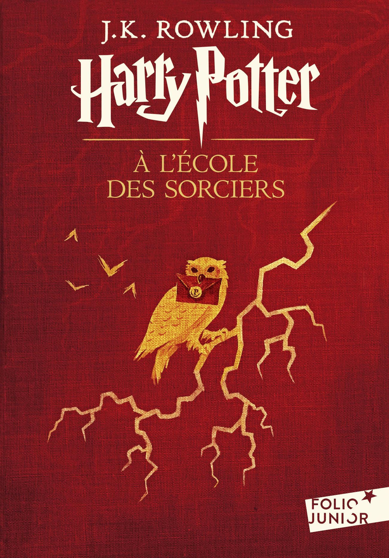 HARRY POTTER A L'ECOLE DES SORCIERS 9782070584628