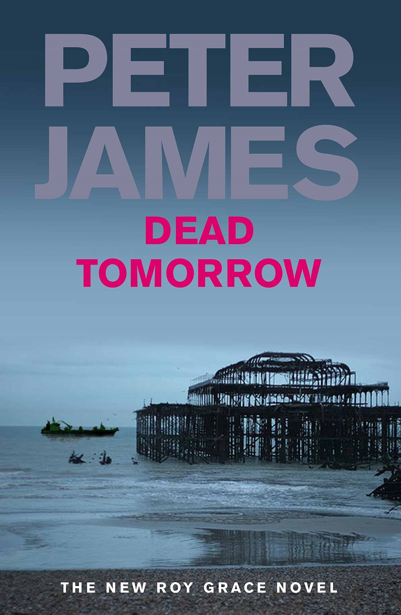 Dead Tomorrow 9780330545990