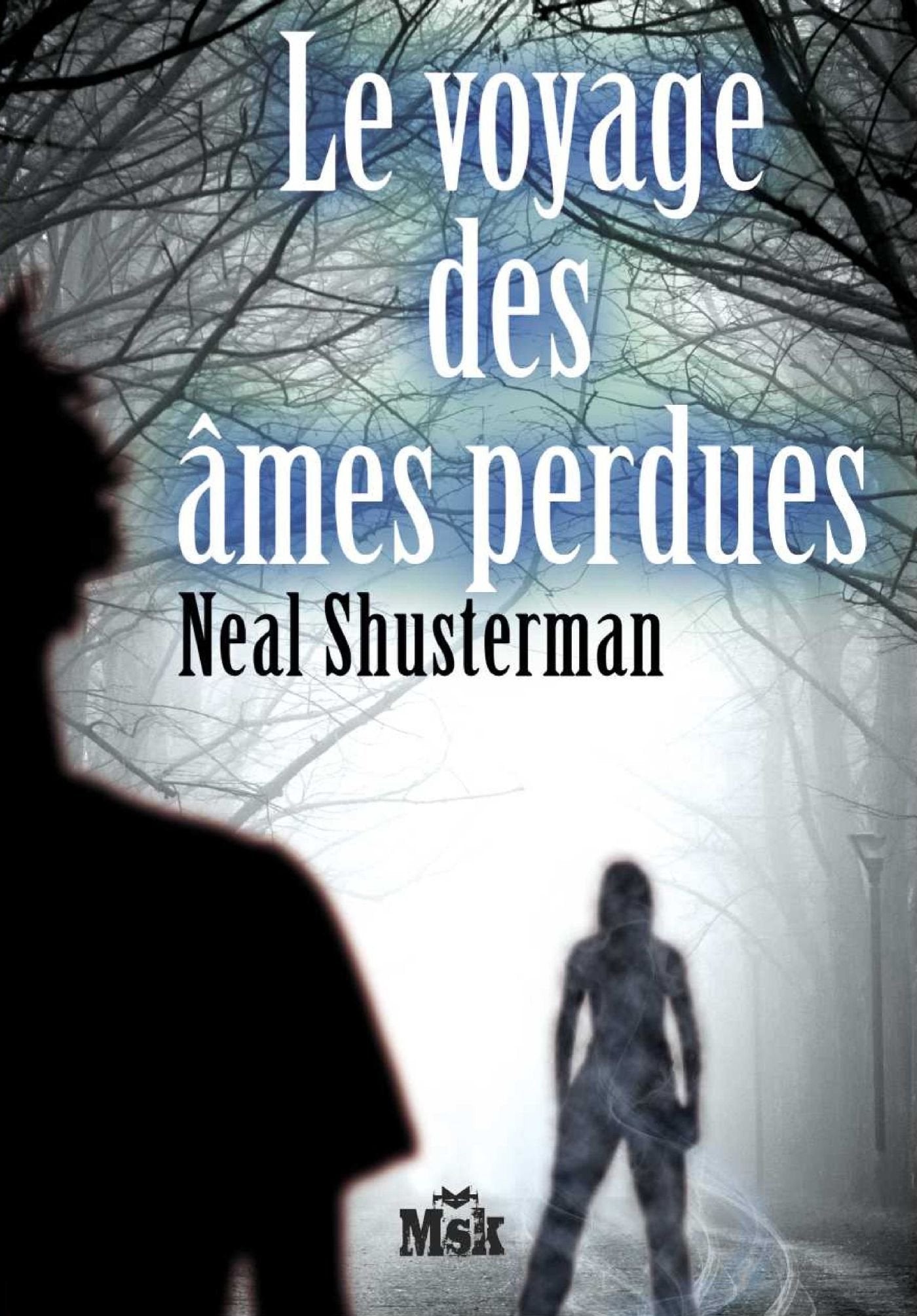 Le voyage des âmes perdues 9782702435335