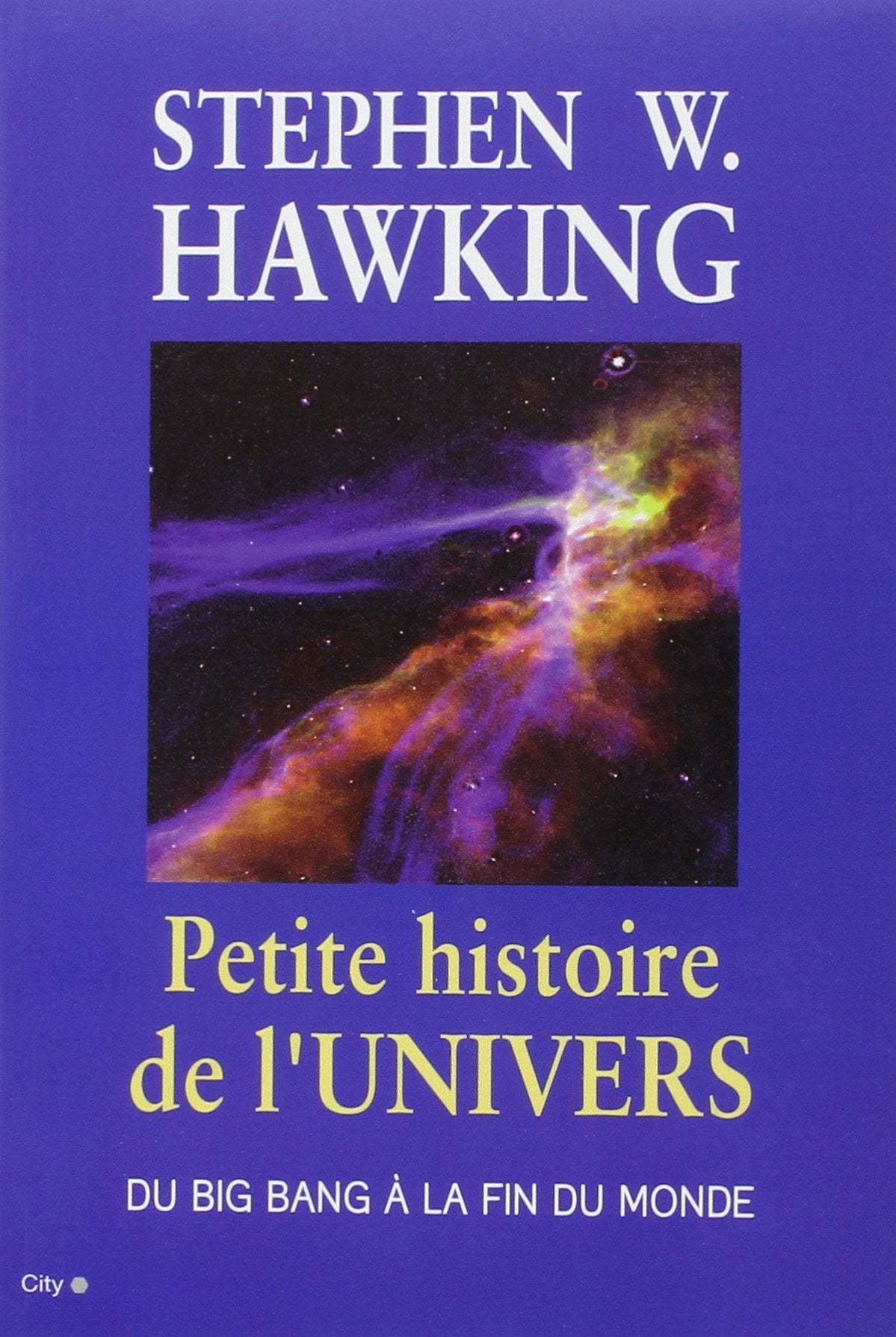 Petite histoire de l'univers 9782352888062