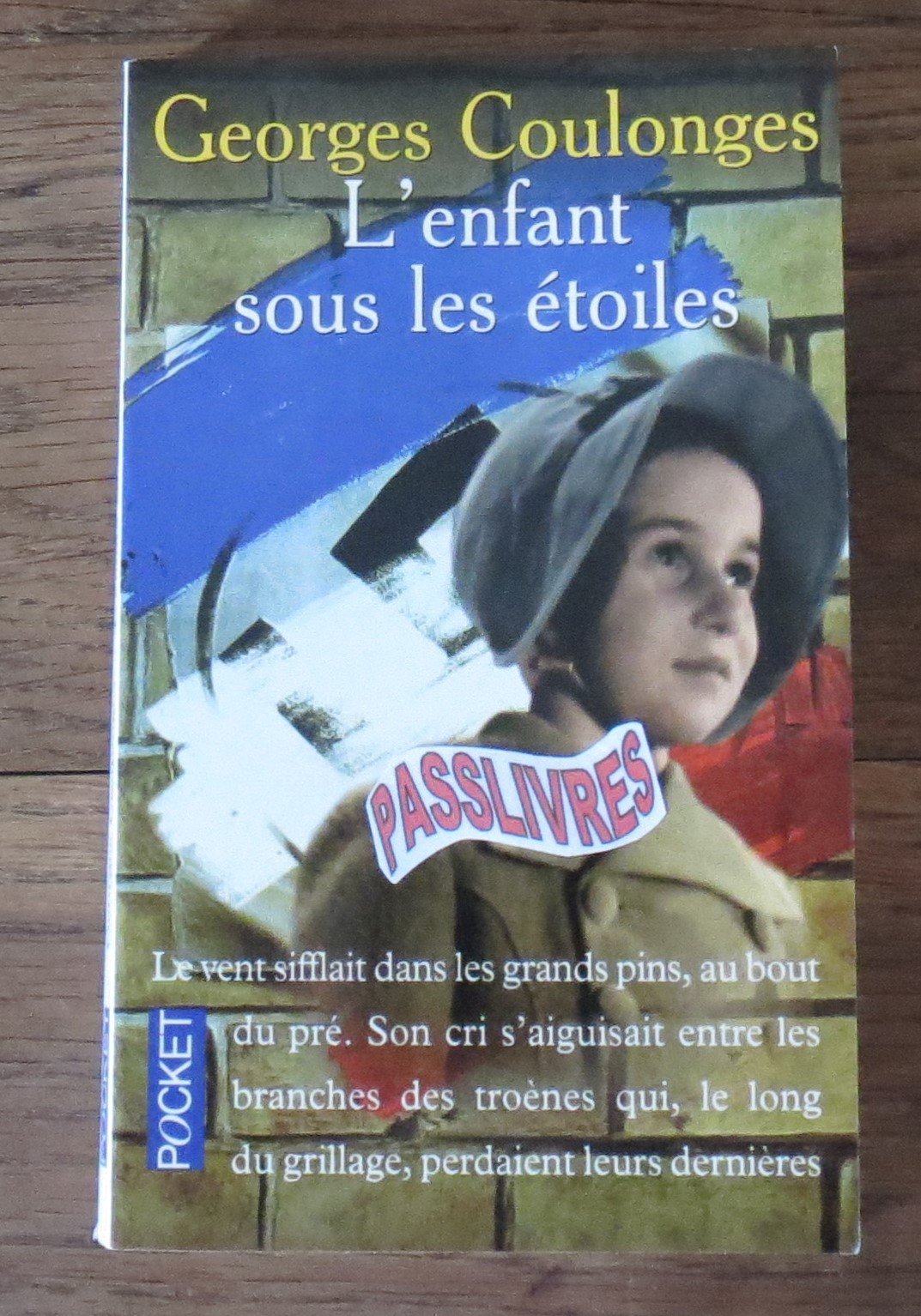 L'enfant sous les étoiles 9782266077996