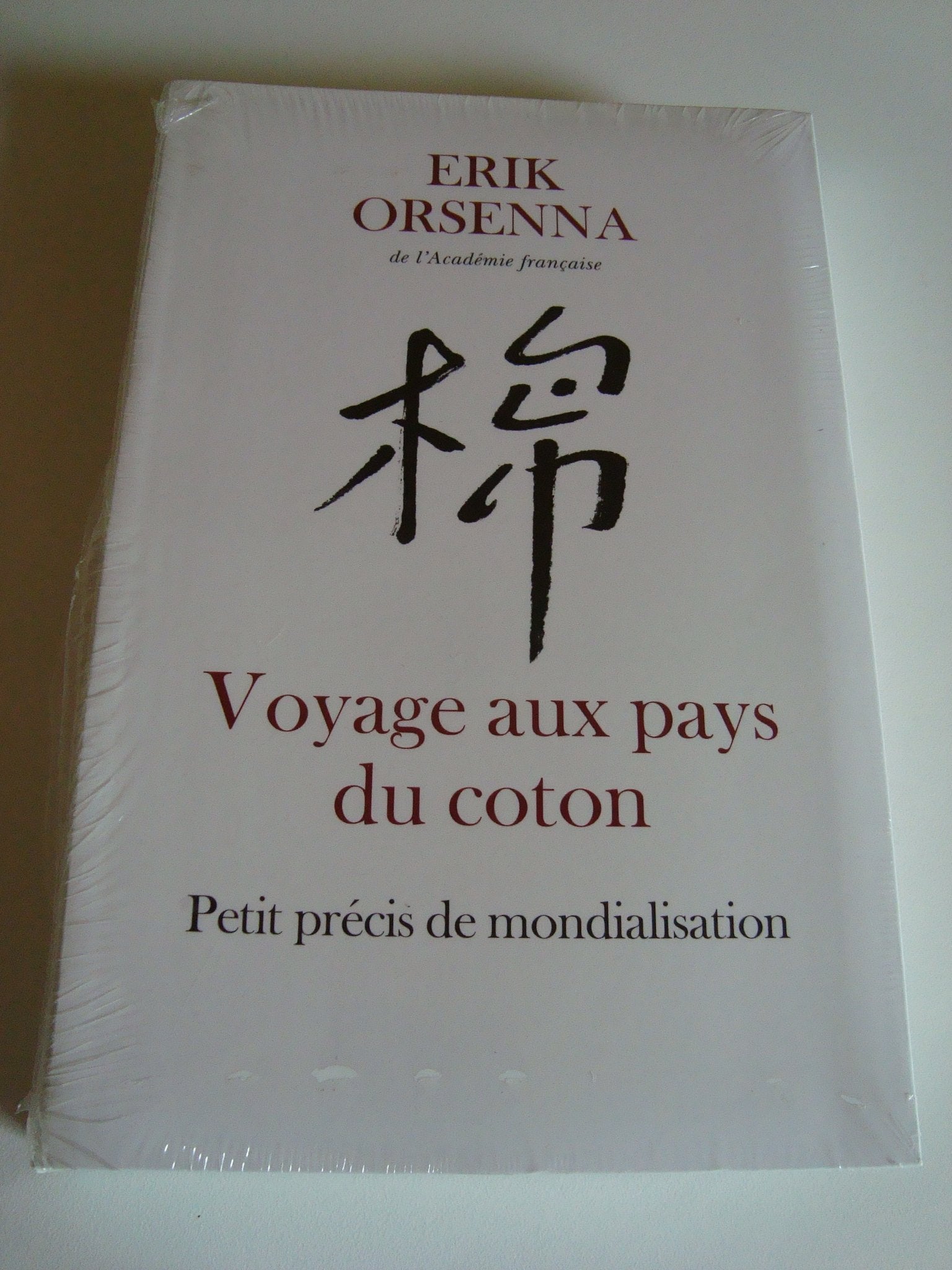 Voyage aux pays du coton : Petit précis de mondialisation 9782286020538