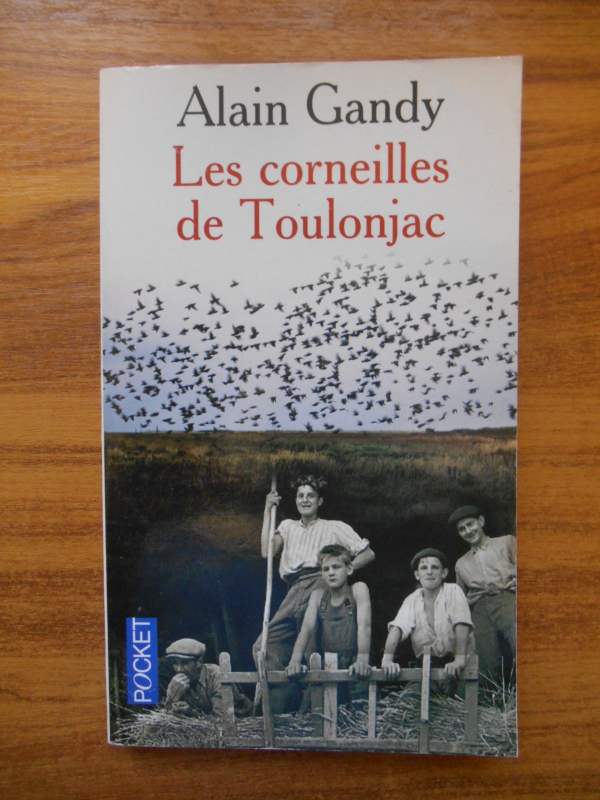 Les Corneilles de Toulonjac 9782266118736