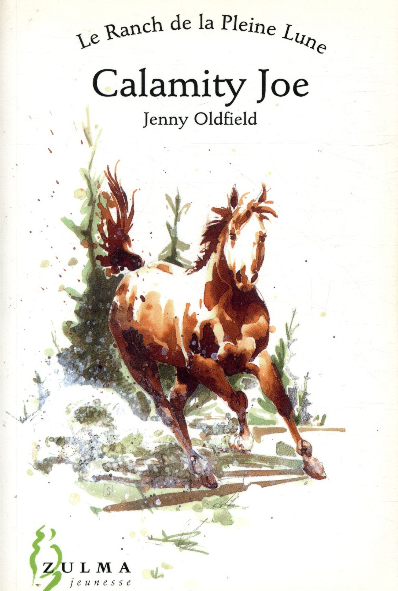 Le Ranch de la Pleine Lune, tome 2 : Calamity Joe 9782843042577