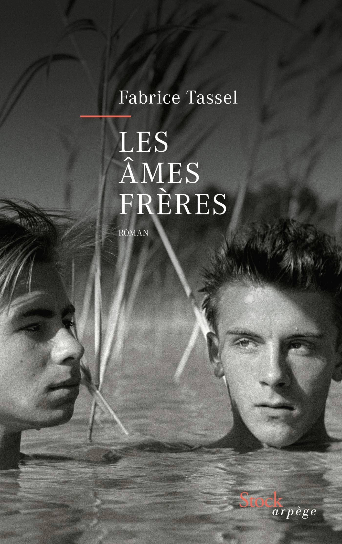 Les âmes frères 9782234088269