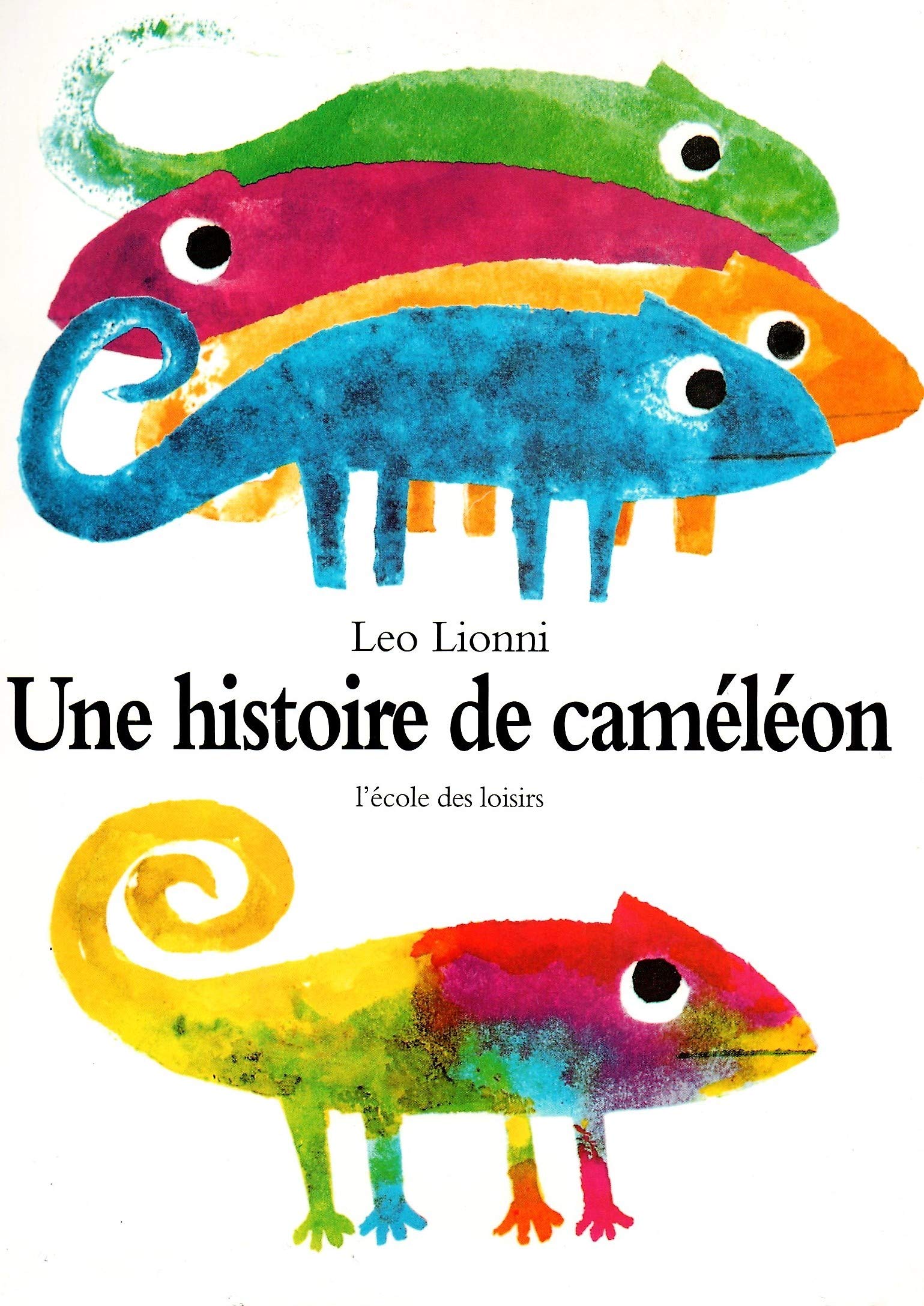 Une histoire de caméléon 9782211058742