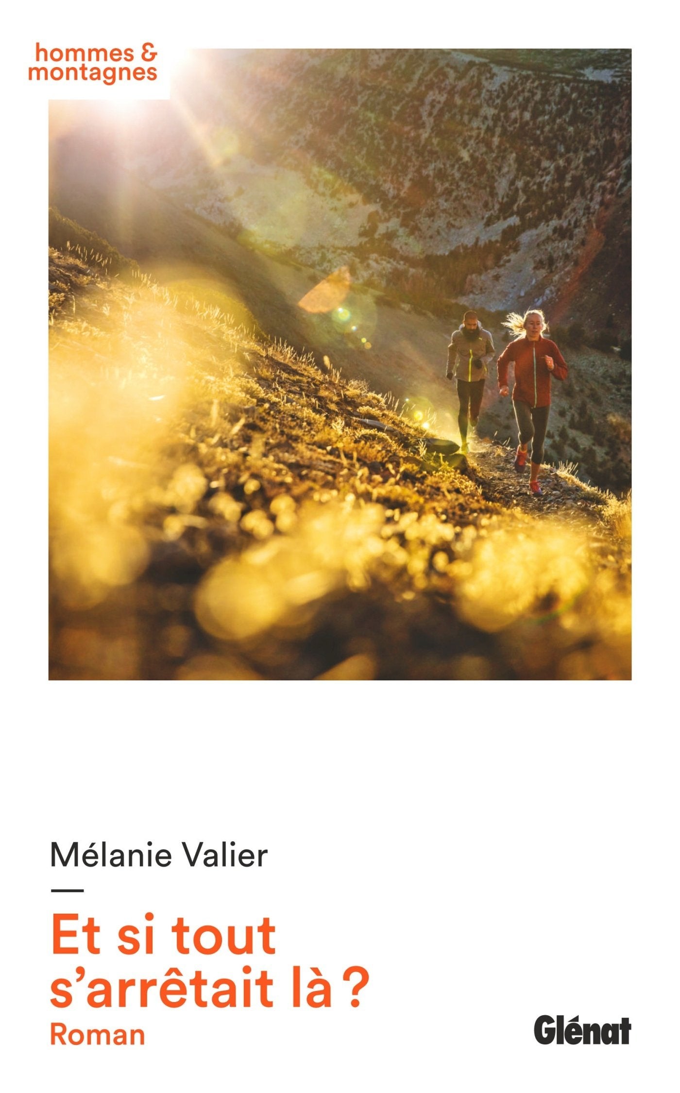 Et si tout s'arrêtait là ? 9782344020616