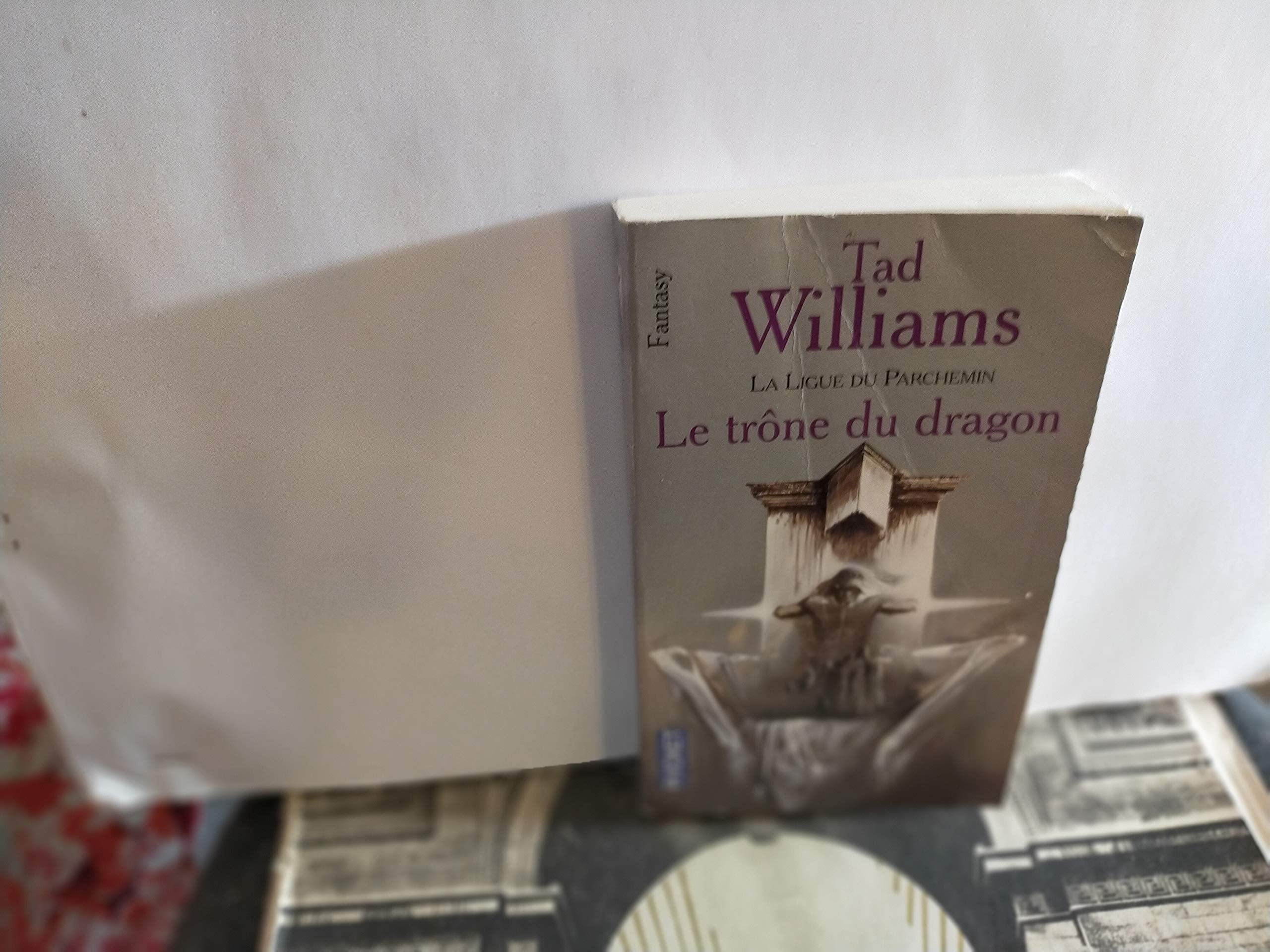 L'Arcane des épées, tome 1 : La Ligue du parchemin - Le Trône du dragon 9782266111805