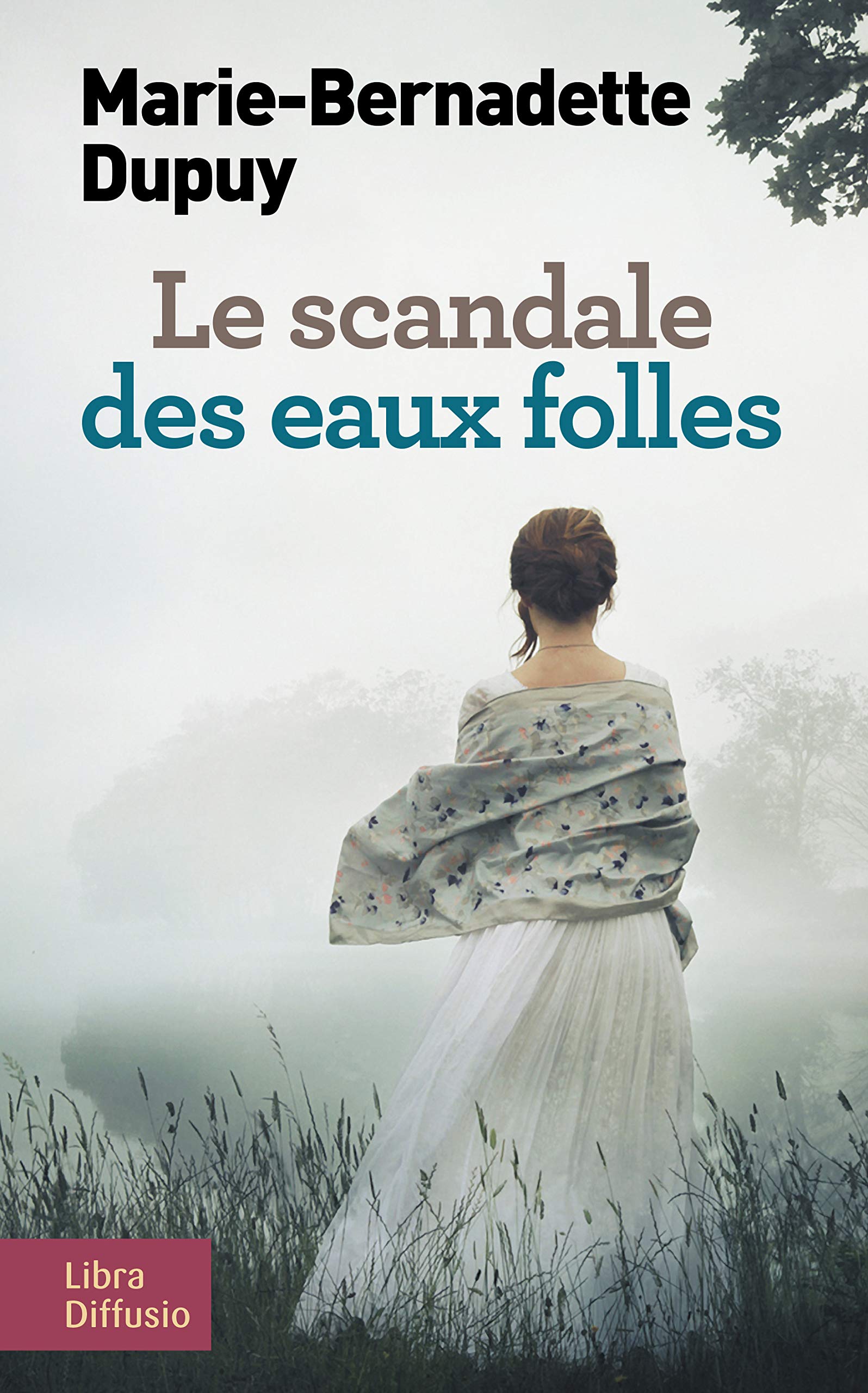 Le scandale des eaux folles 9782844928740