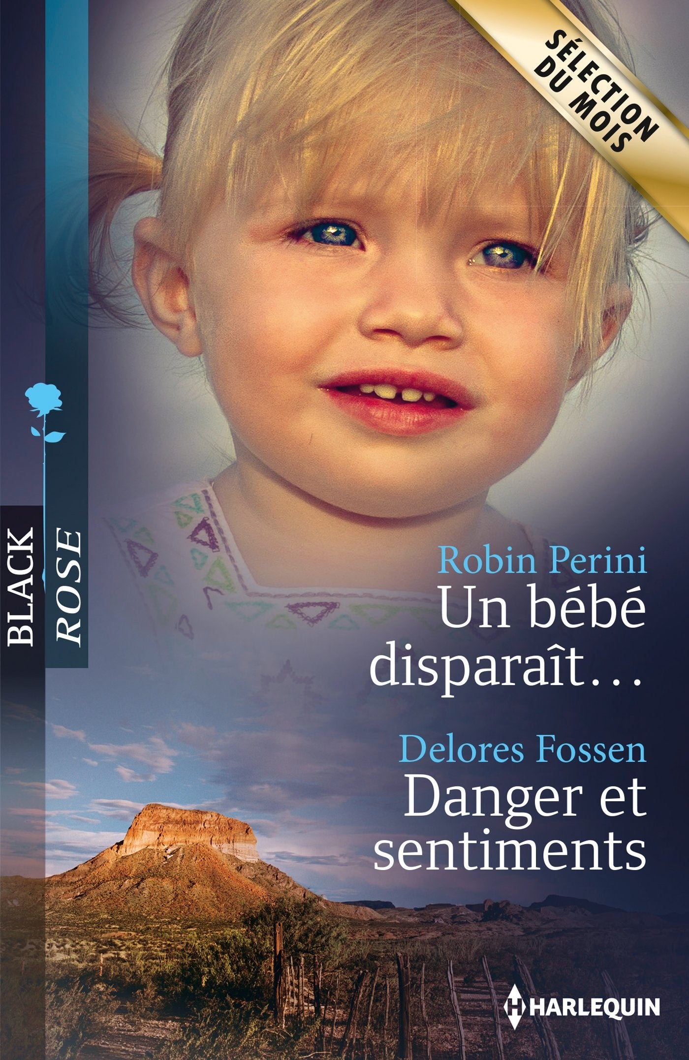 Un bébé disparaît ; Danger et sentiments 9782280308236