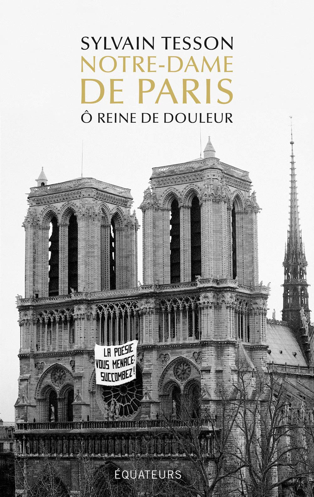 Notre-Dame de Paris: Ô reine de douleur 9782849906798