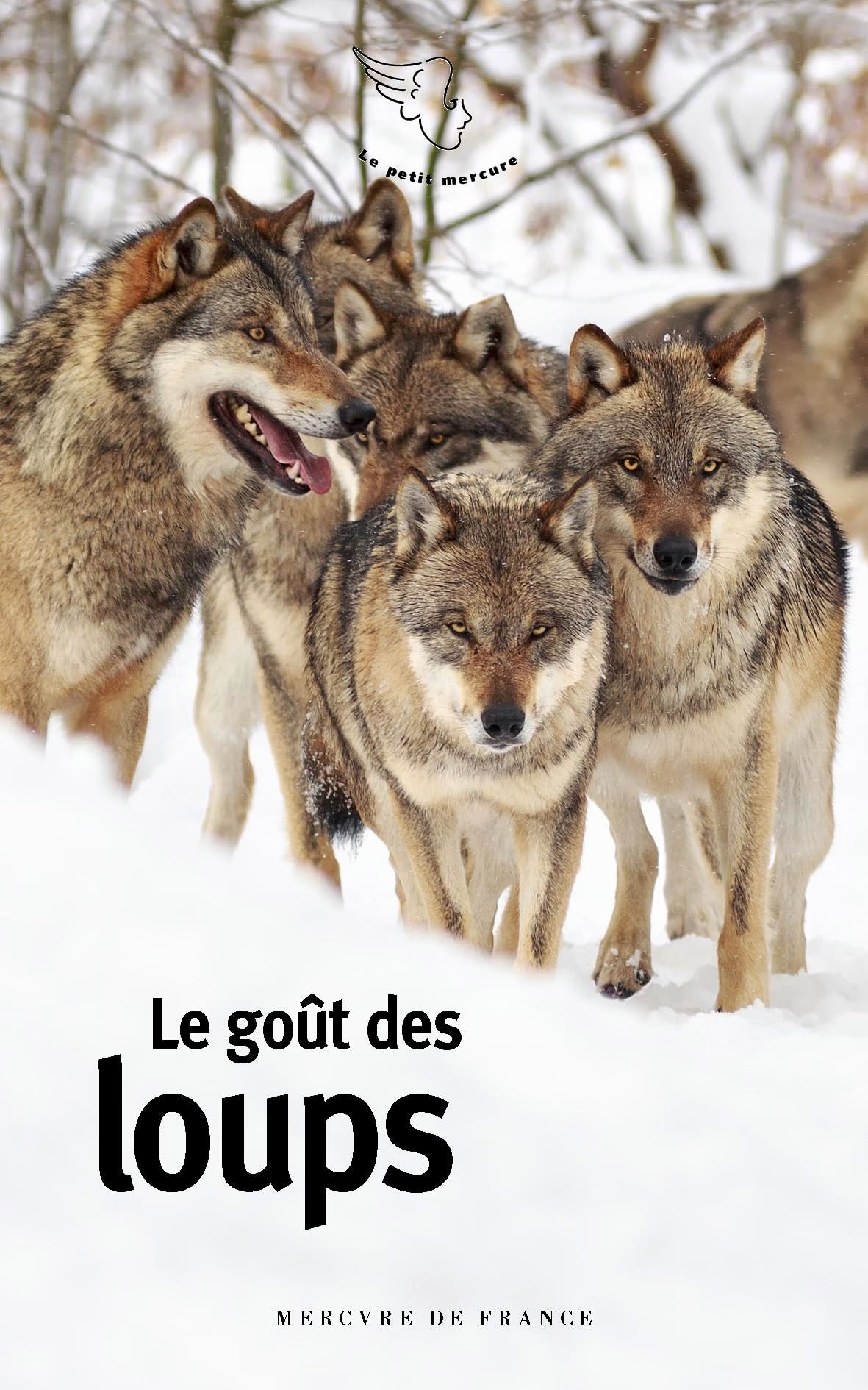 Le goût des loups 9782715265974