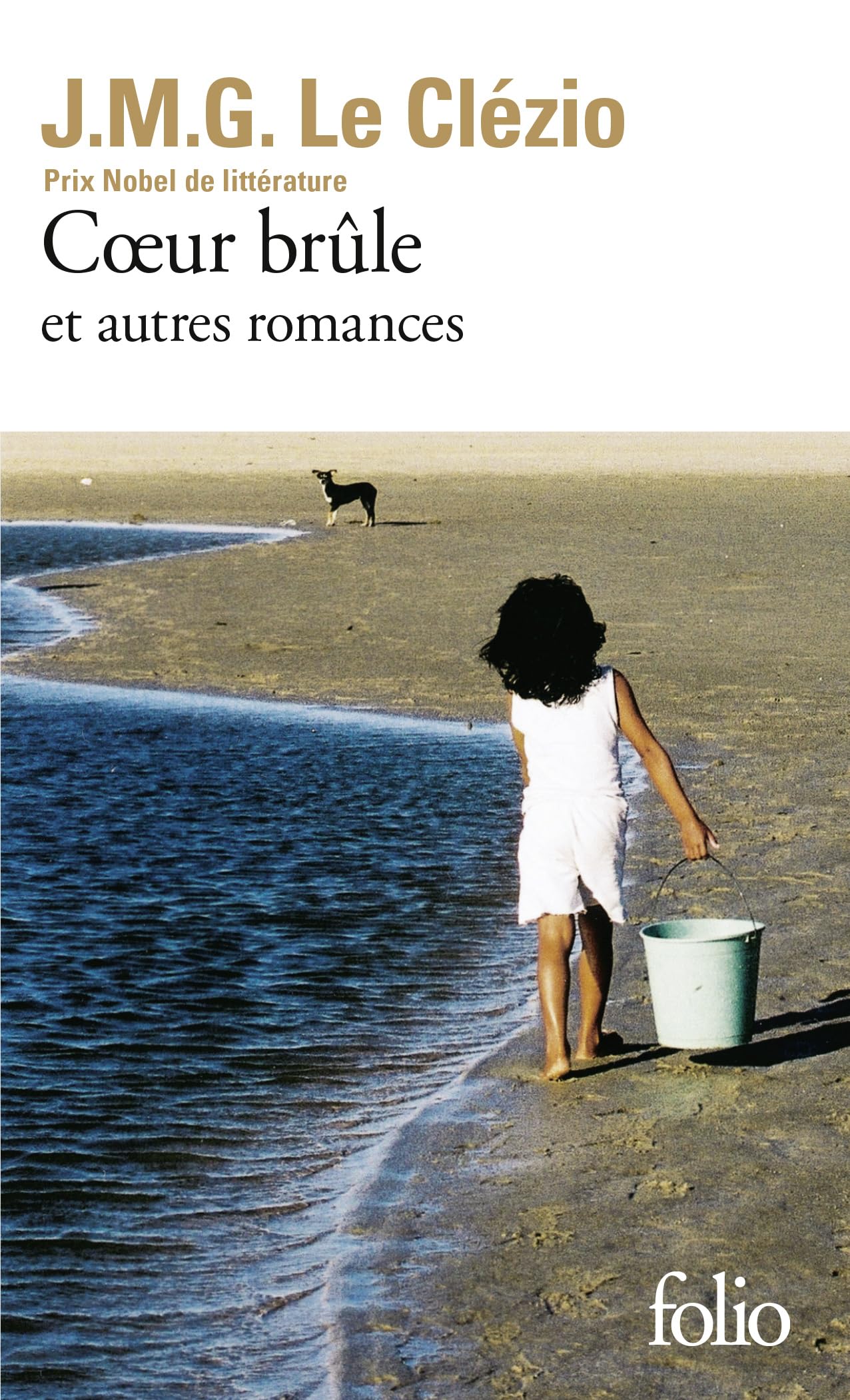 Coeur brûle et autres romances 9787780024976