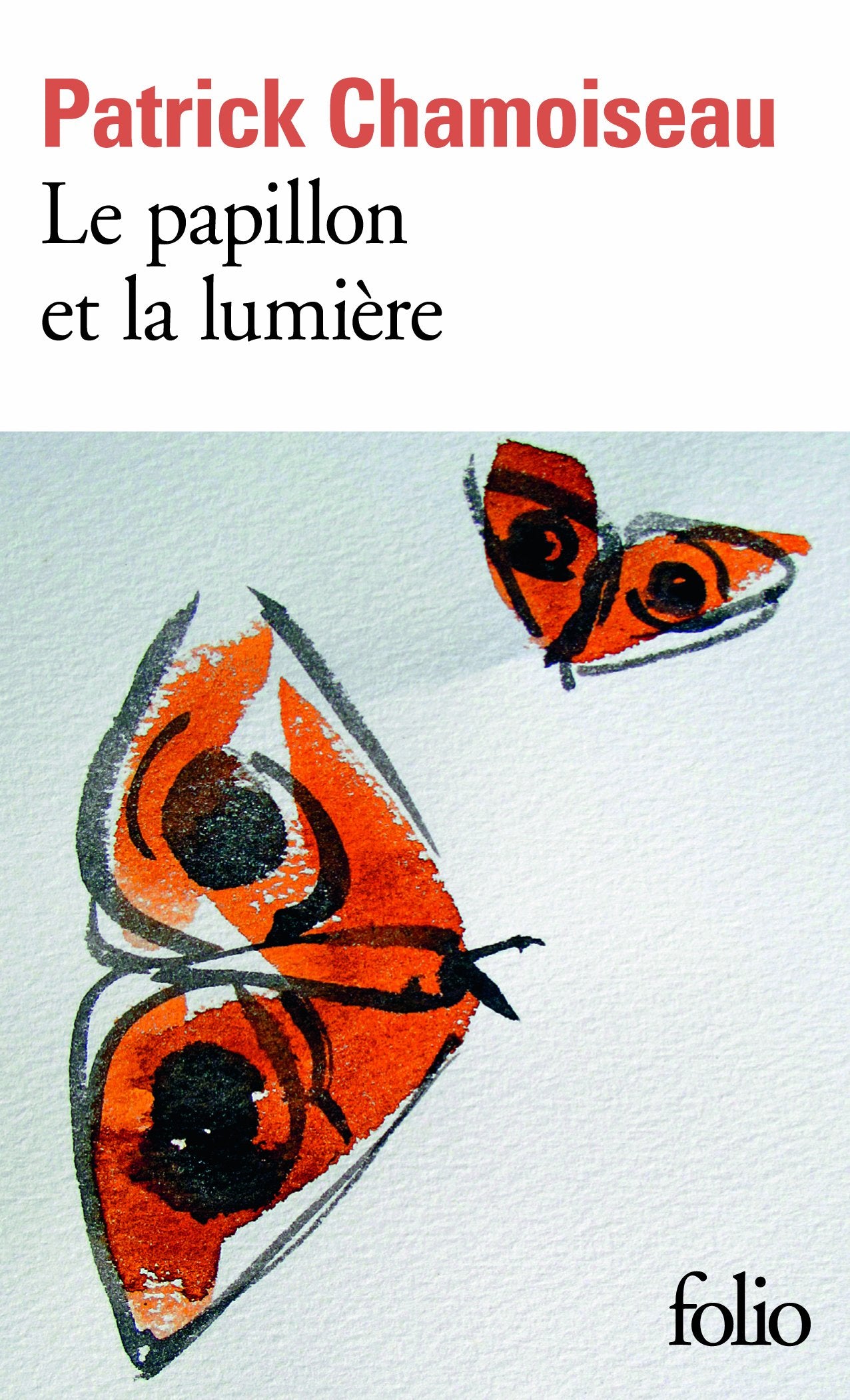 Le papillon et la lumière 9782070450039