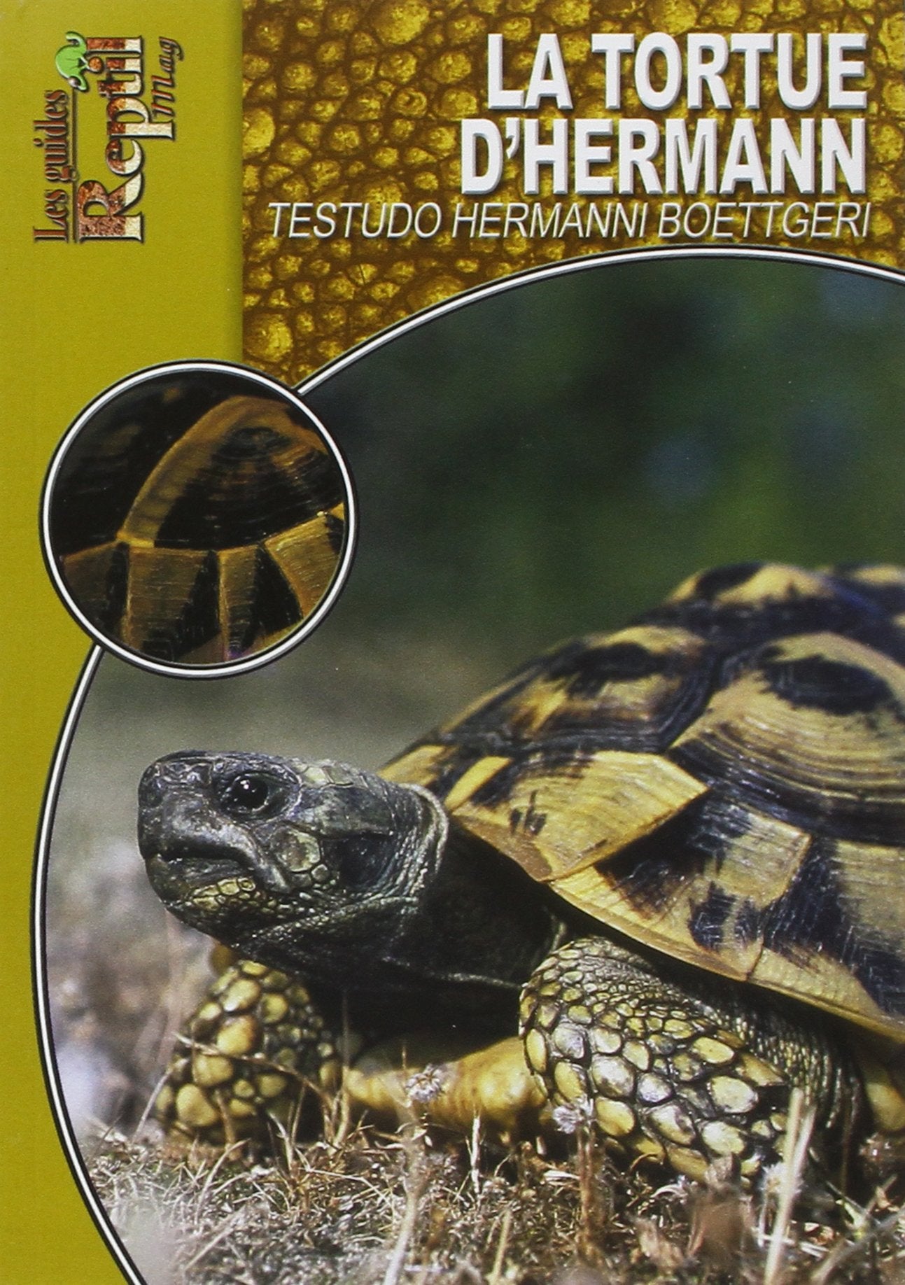 La Tortue d'Hermann: Testudo Hermanni Boettgeri 9782915740301