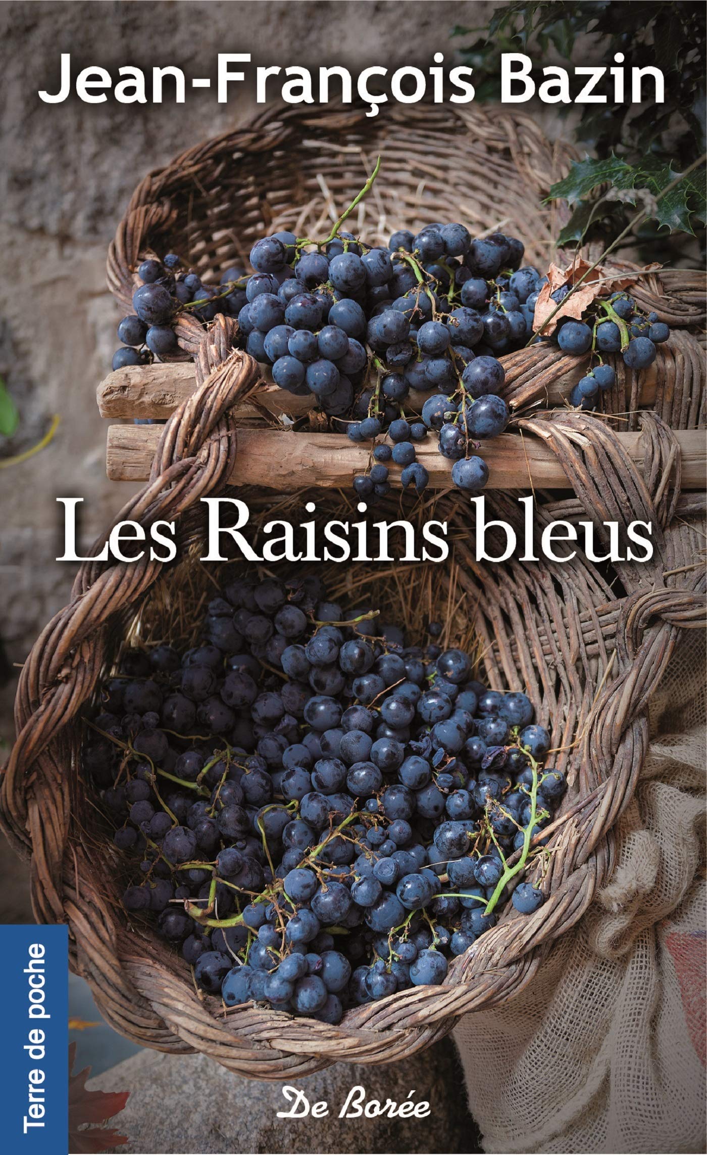 RAISINS BLEUS (LES) 9782812922985