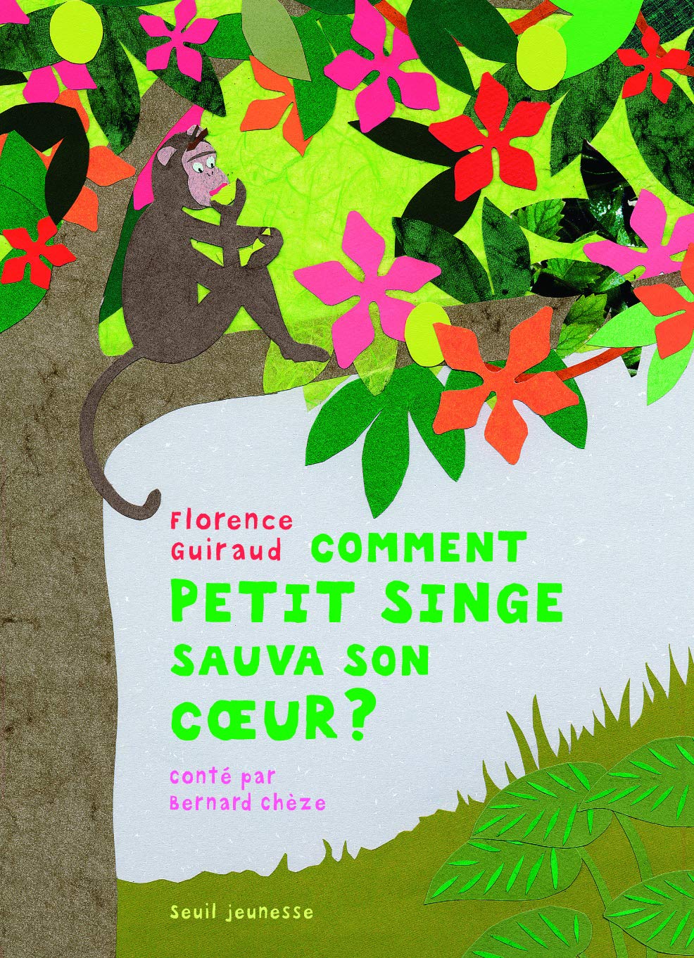 Comment petit singe sauva son coeur 9782020918046