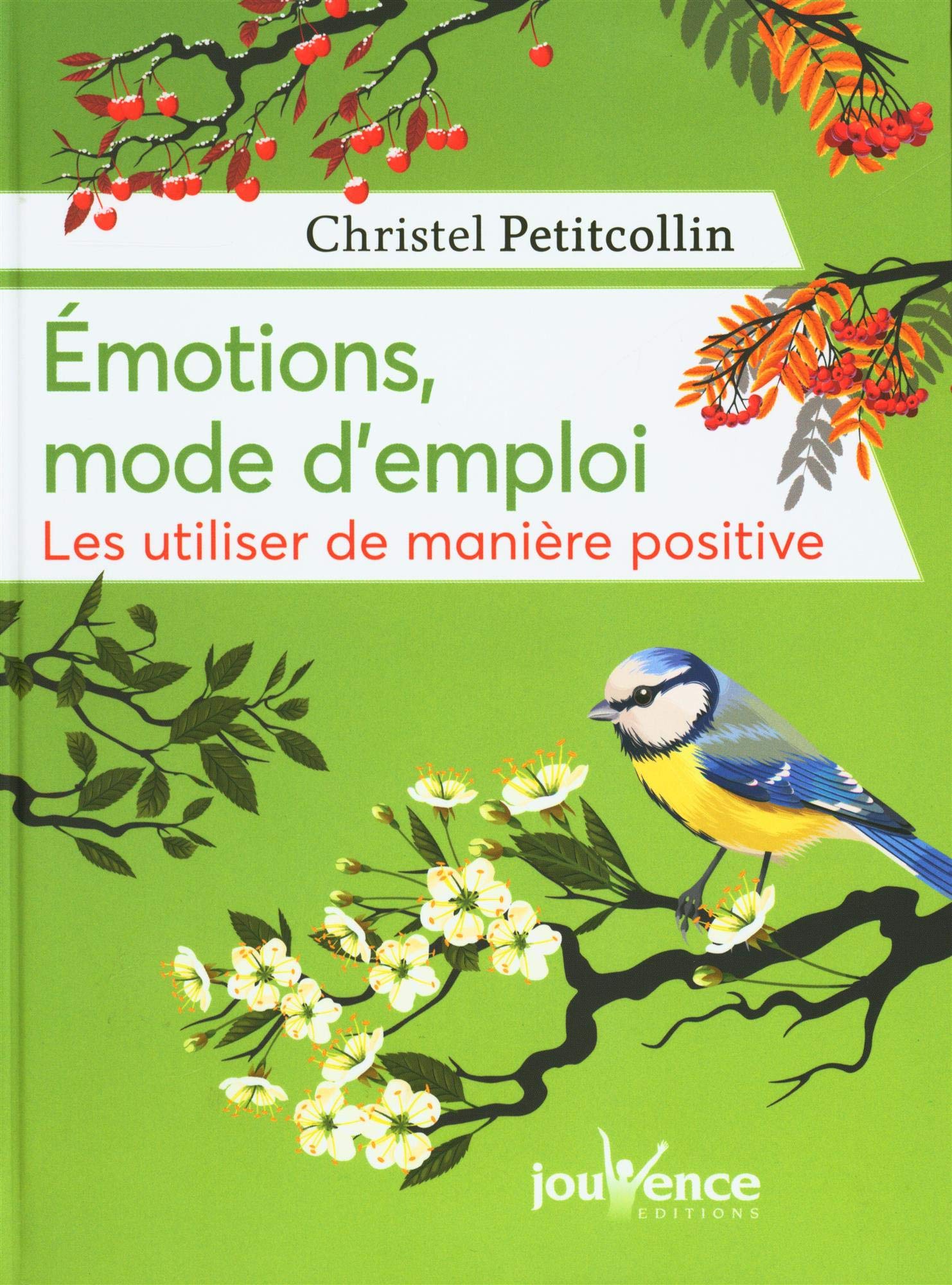 Emotions, mode d'emploi: Les utiliser de manière positive 9782889532391