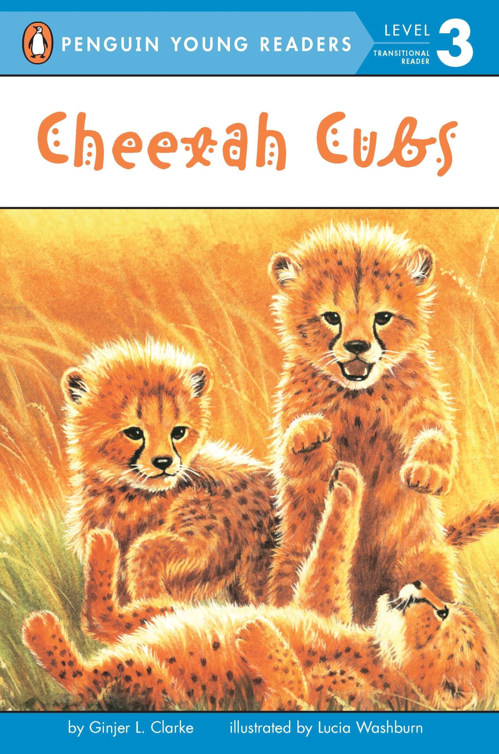 Cheetah Cubs 9780448443614