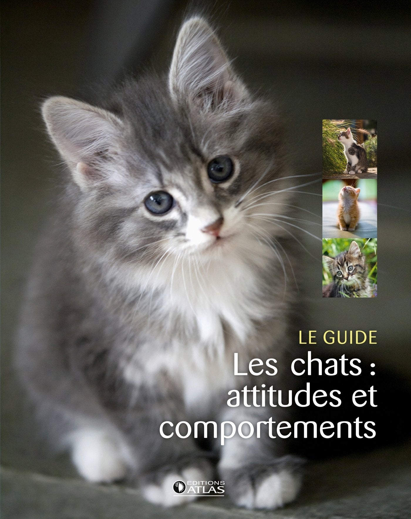 Les chats : attitudes et comportements 9782344002599