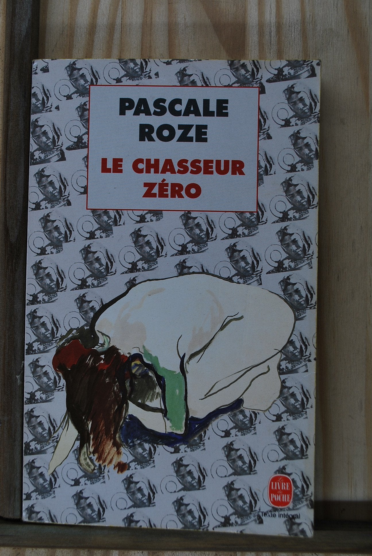 Le chasseur zéro - Prix Goncourt 1996 9782253144205