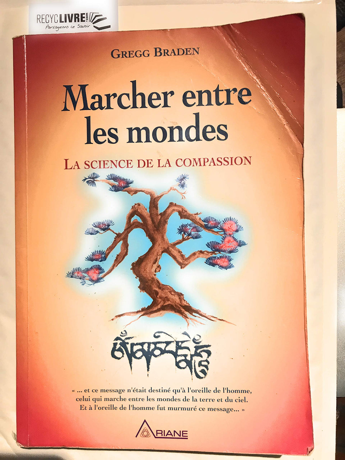 Marcher entre les mondes : La science de la compassion 9782920987425