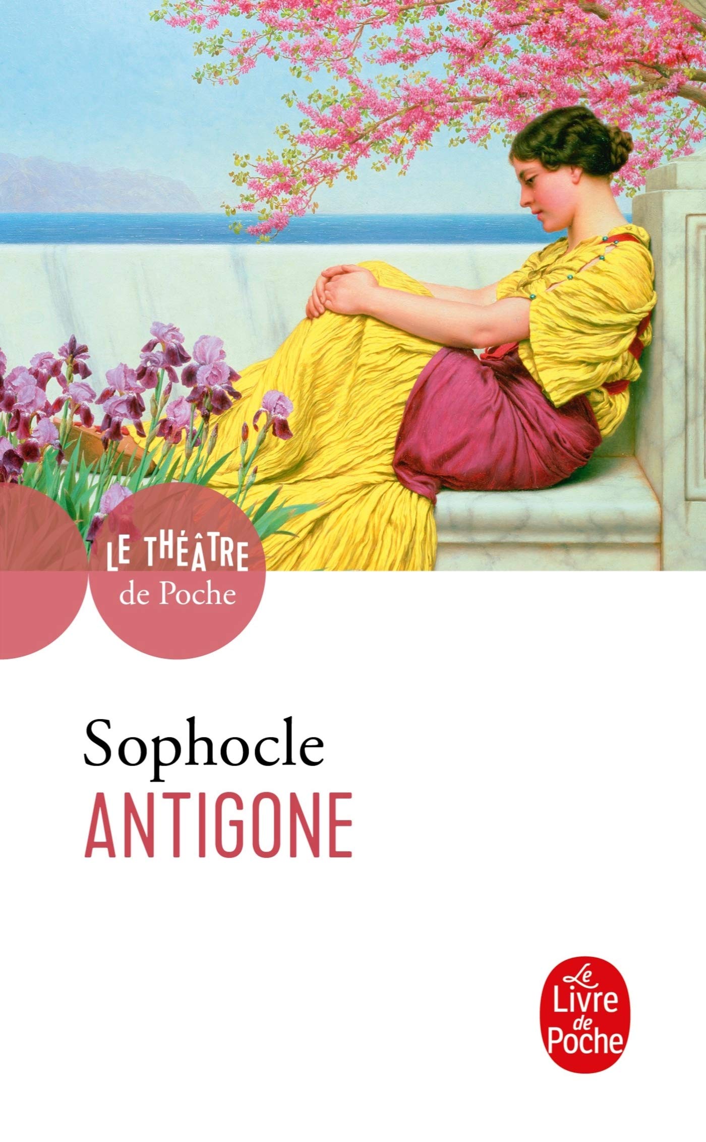 Antigone 9782253055440