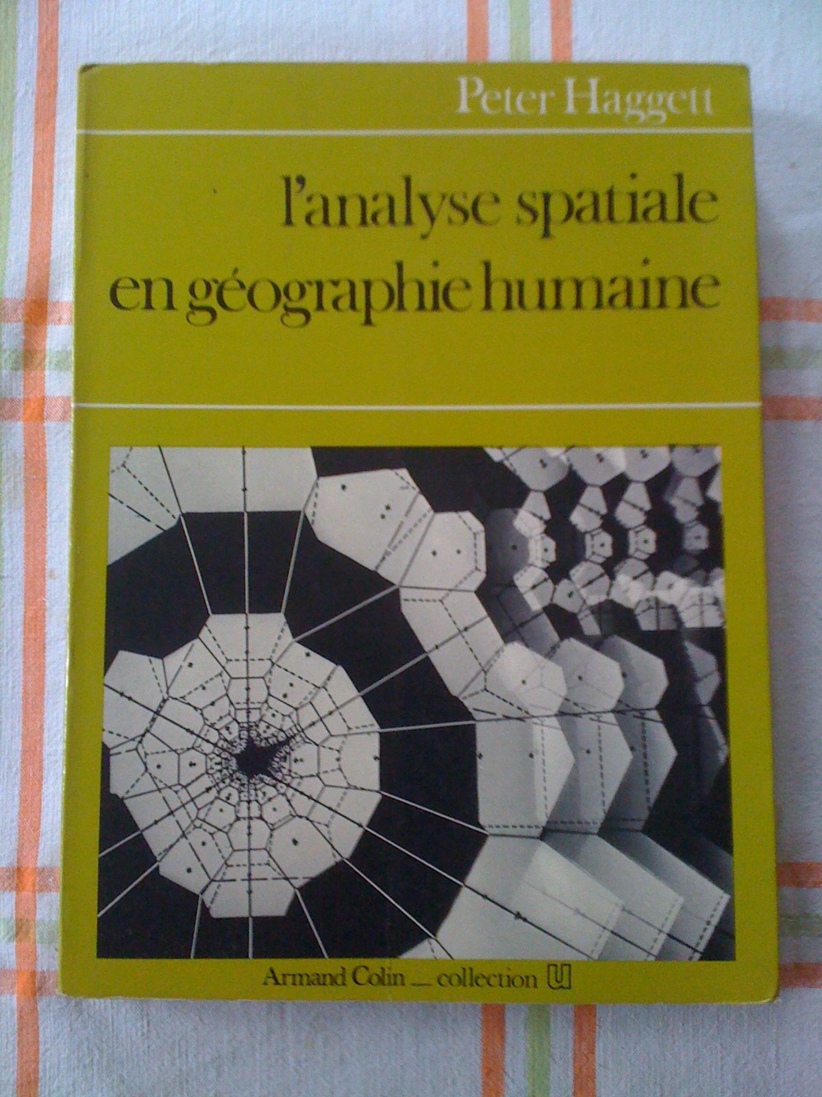 Analyse spatiale en geographie humaine 9782200310530