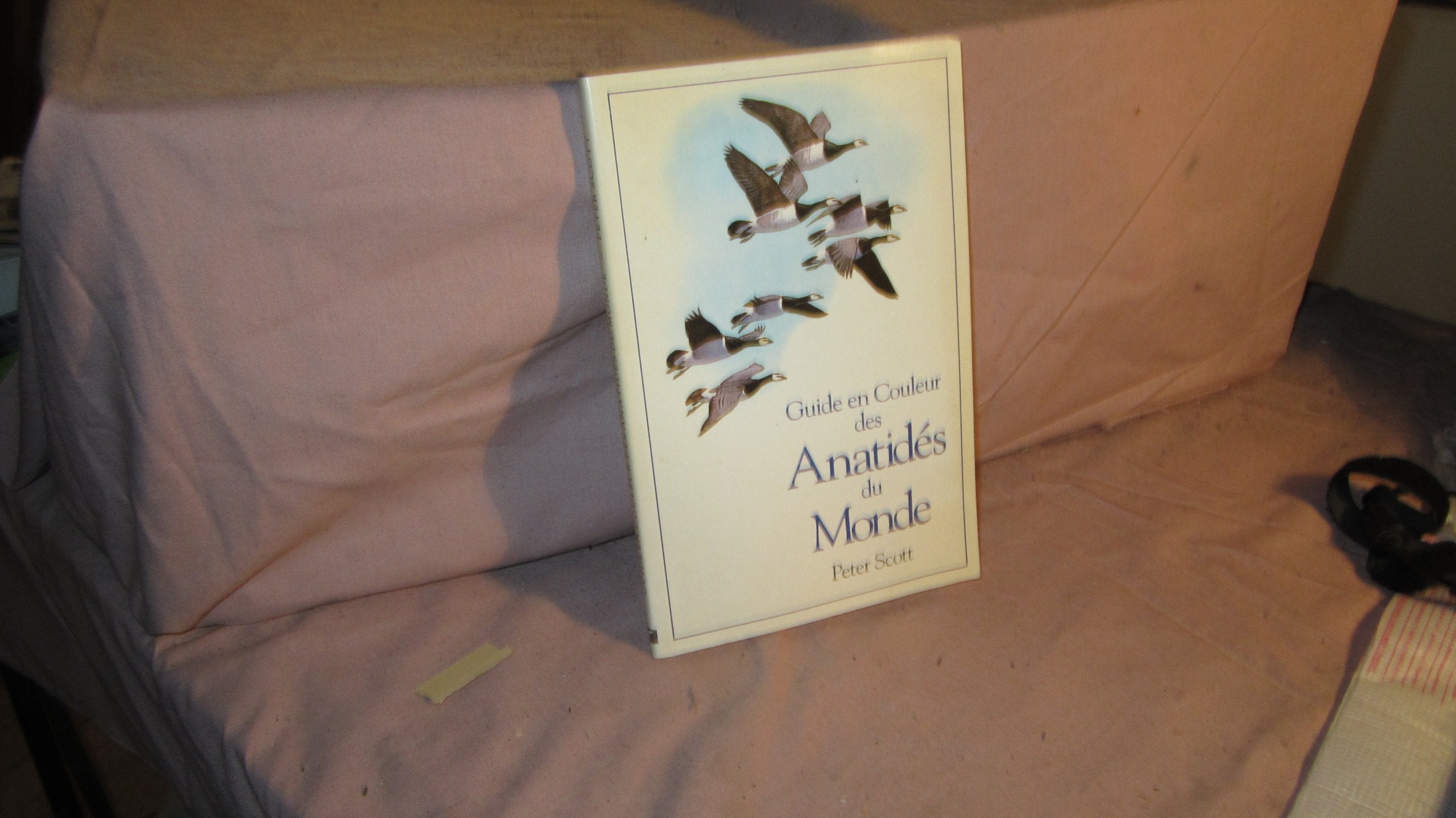 Canards de l'hémisphère Nord 9782901196150