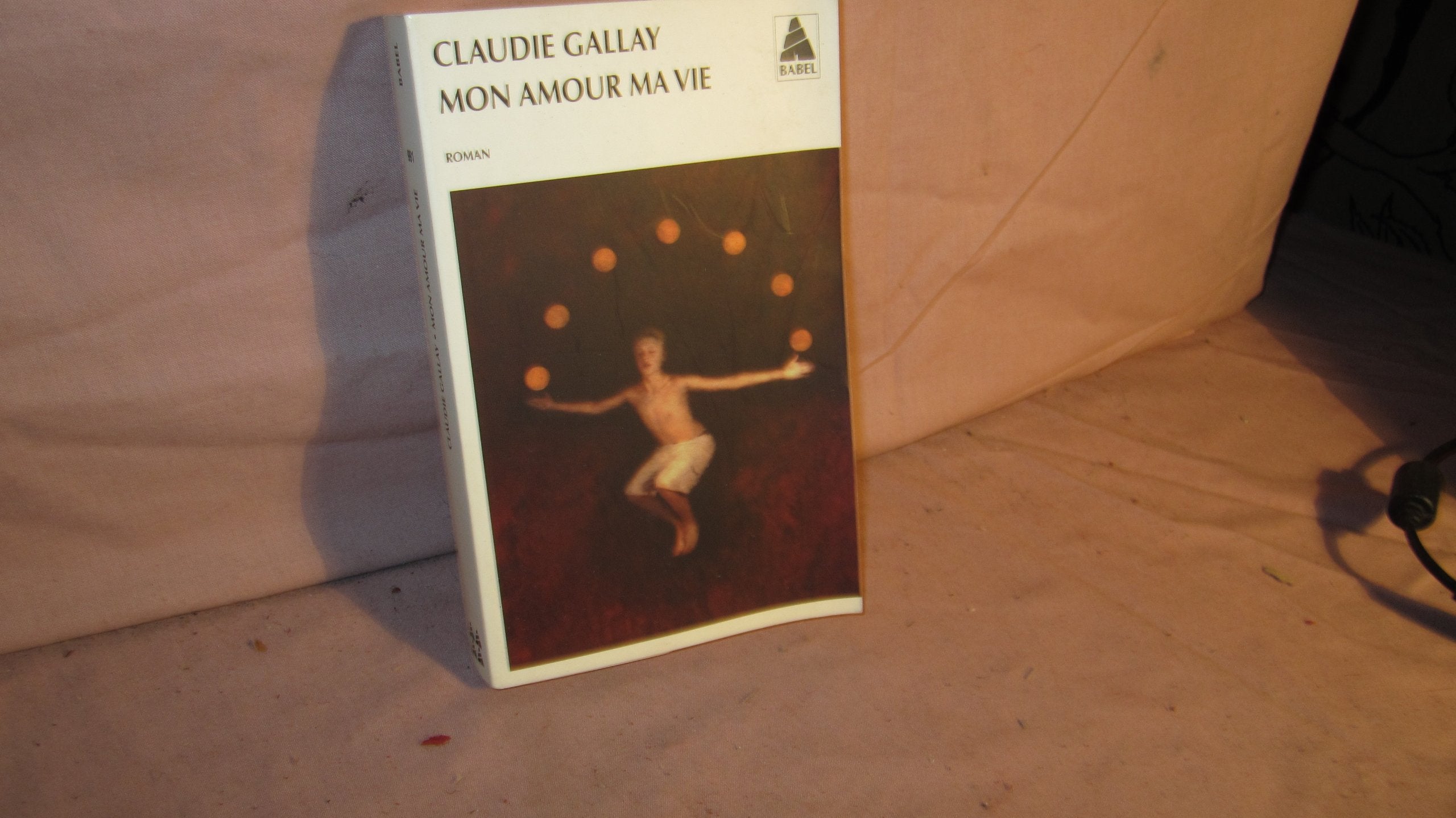 Mon amour ma vie 9782742788347