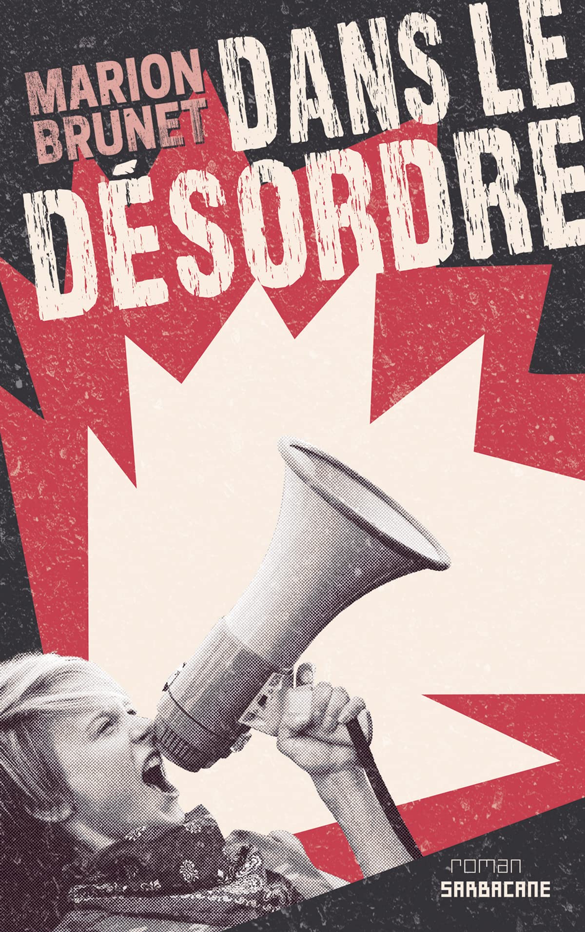 Dans le désordre 9782848658209