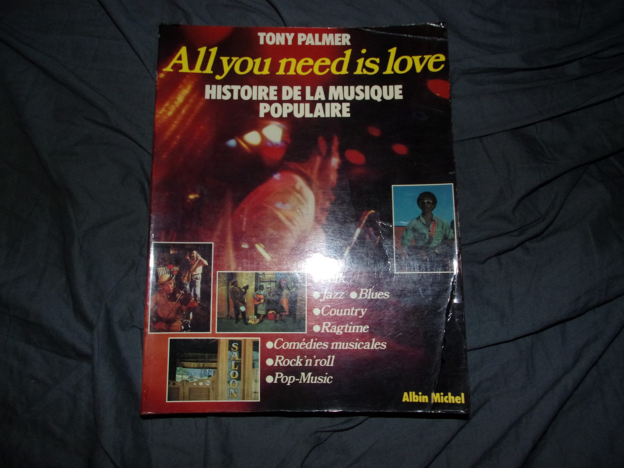 All you need is love - Histoire de la musique populaire 9782226006004