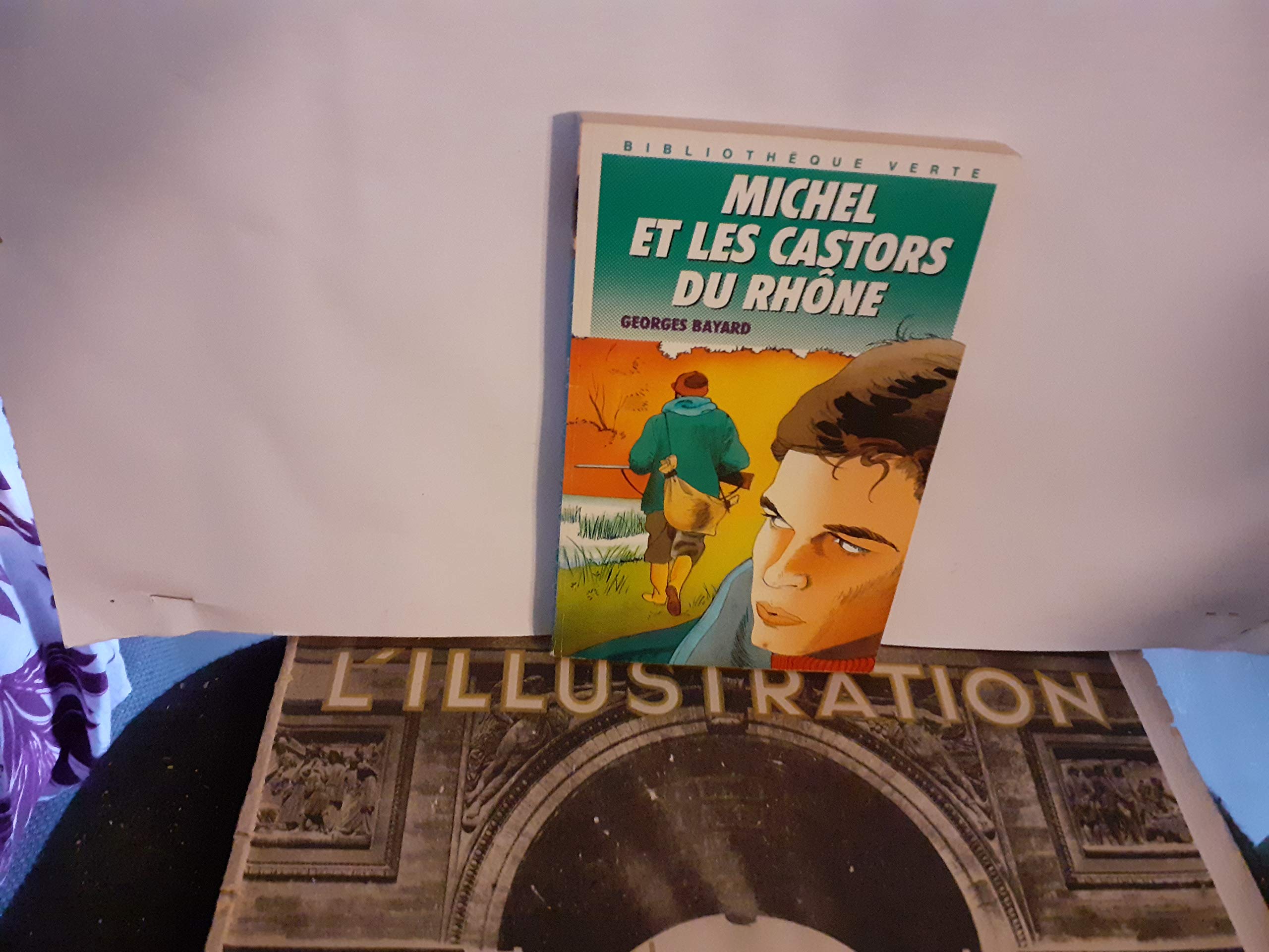 Michel et les castors du Rhône 9782010138751