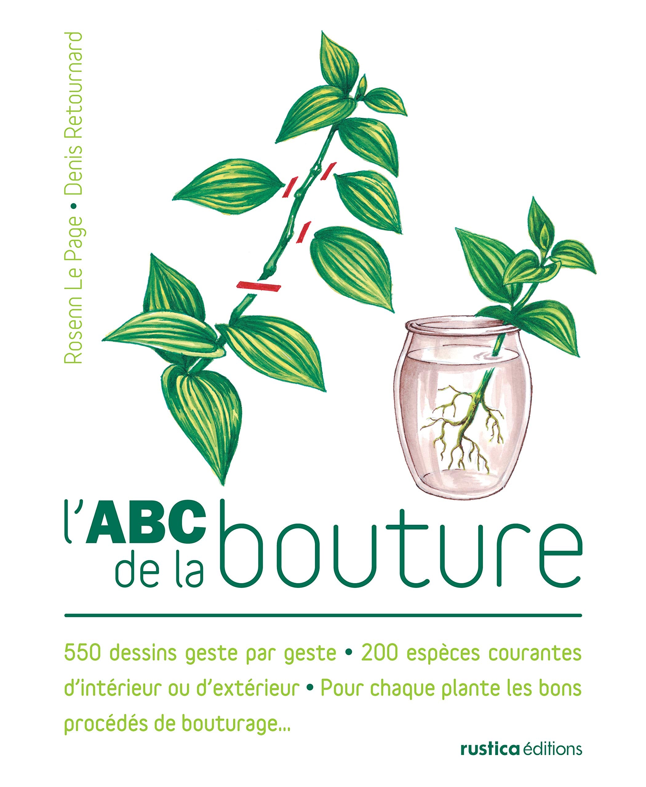 L'ABC de la bouture: 550 dessins geste par geste - 200 espèces courantes d'intérieur ou d'extérieur - Pour chaque plantes 9782840389552